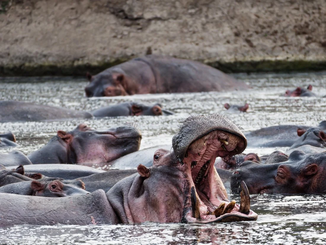 untitled (6394 of 6546)-RW2.jpg