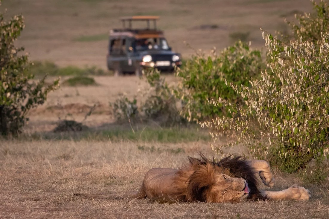 untitled (580 of 6546).jpg