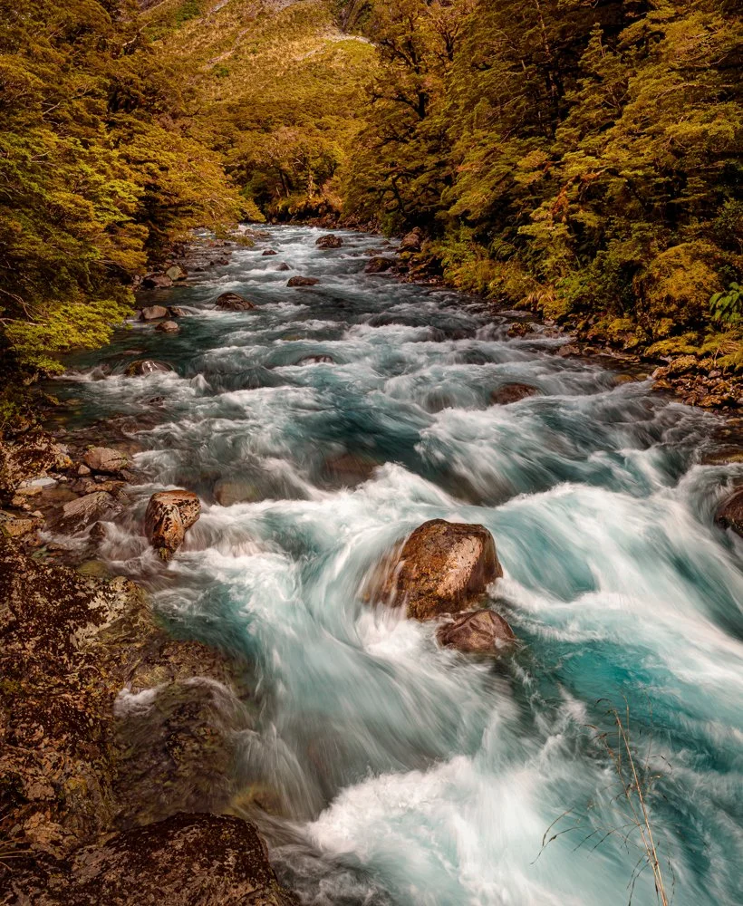 untitled (1523 of 1743)-Edit.jpg