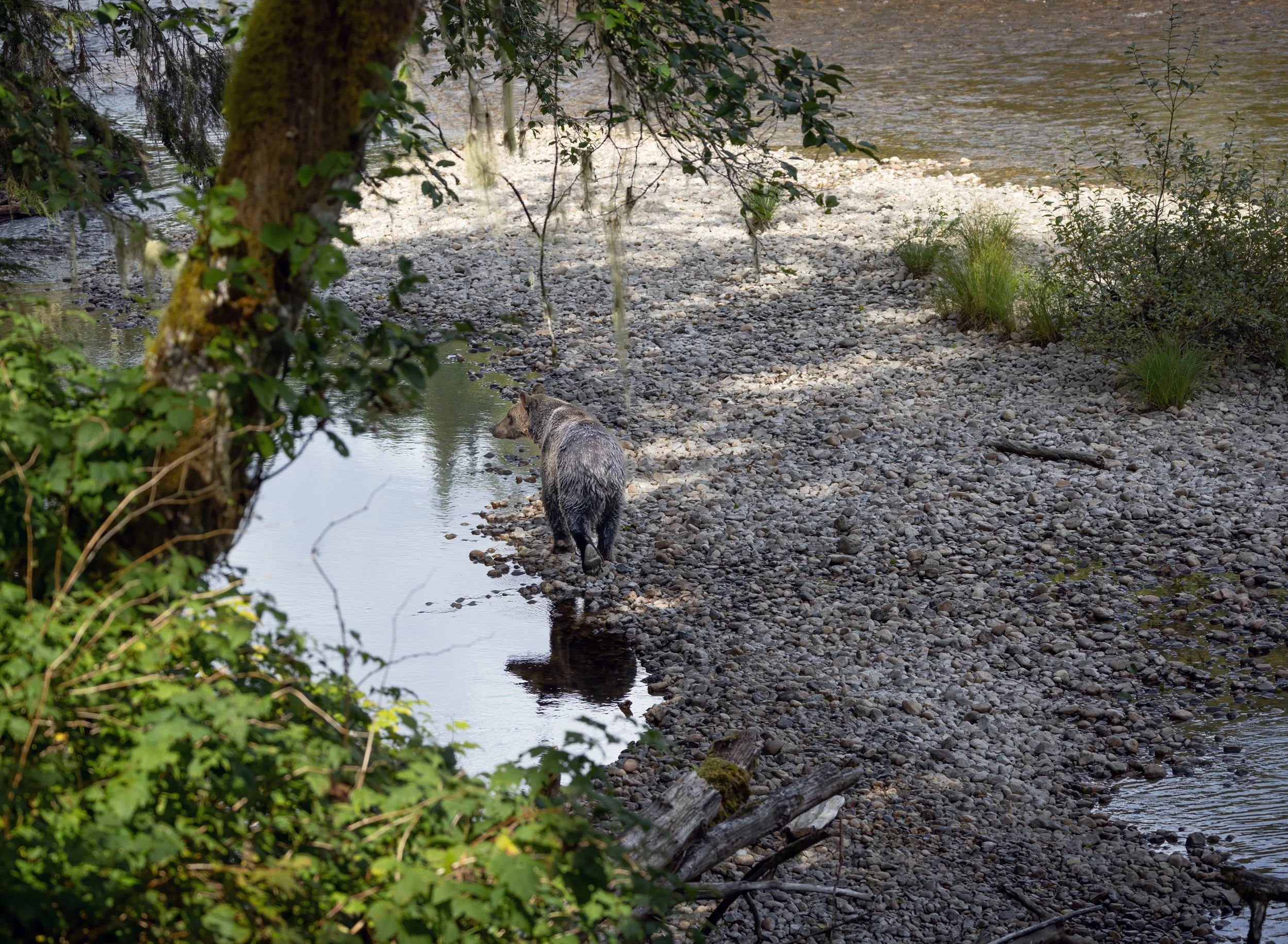 untitled (1351 of 1393)-Edit-Edit.jpg