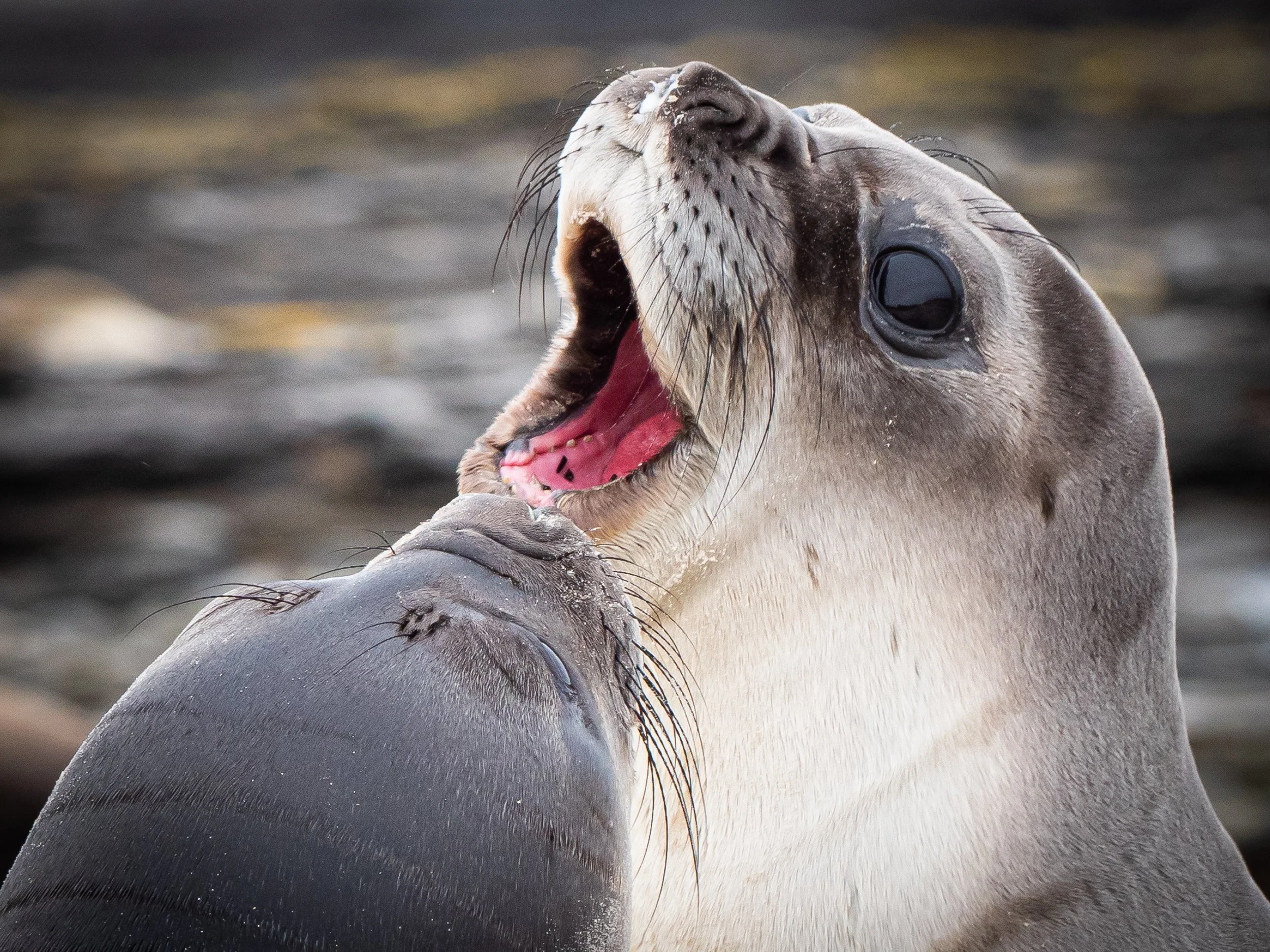 Lumix  3 (346 of 579).jpg