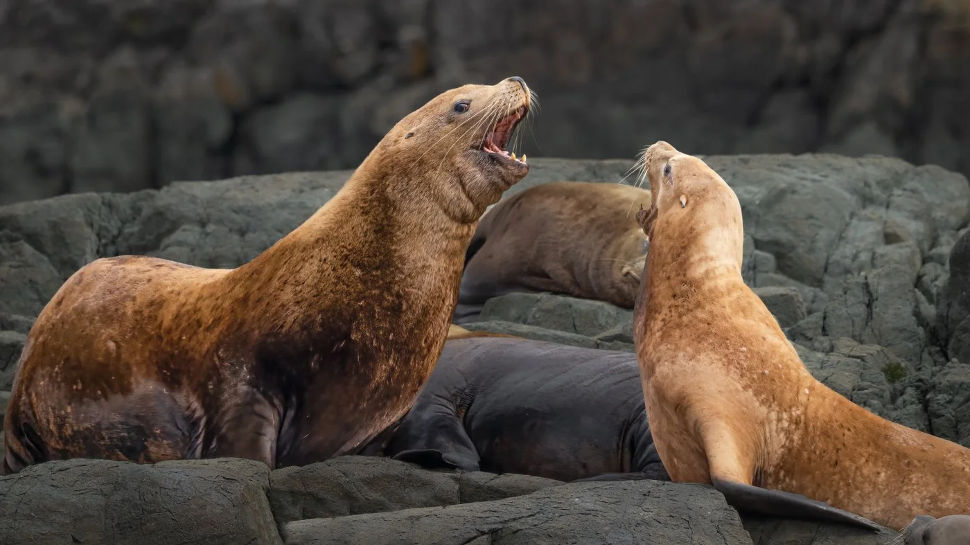 untitled (437 of 870)-Edit-Edit.jpg