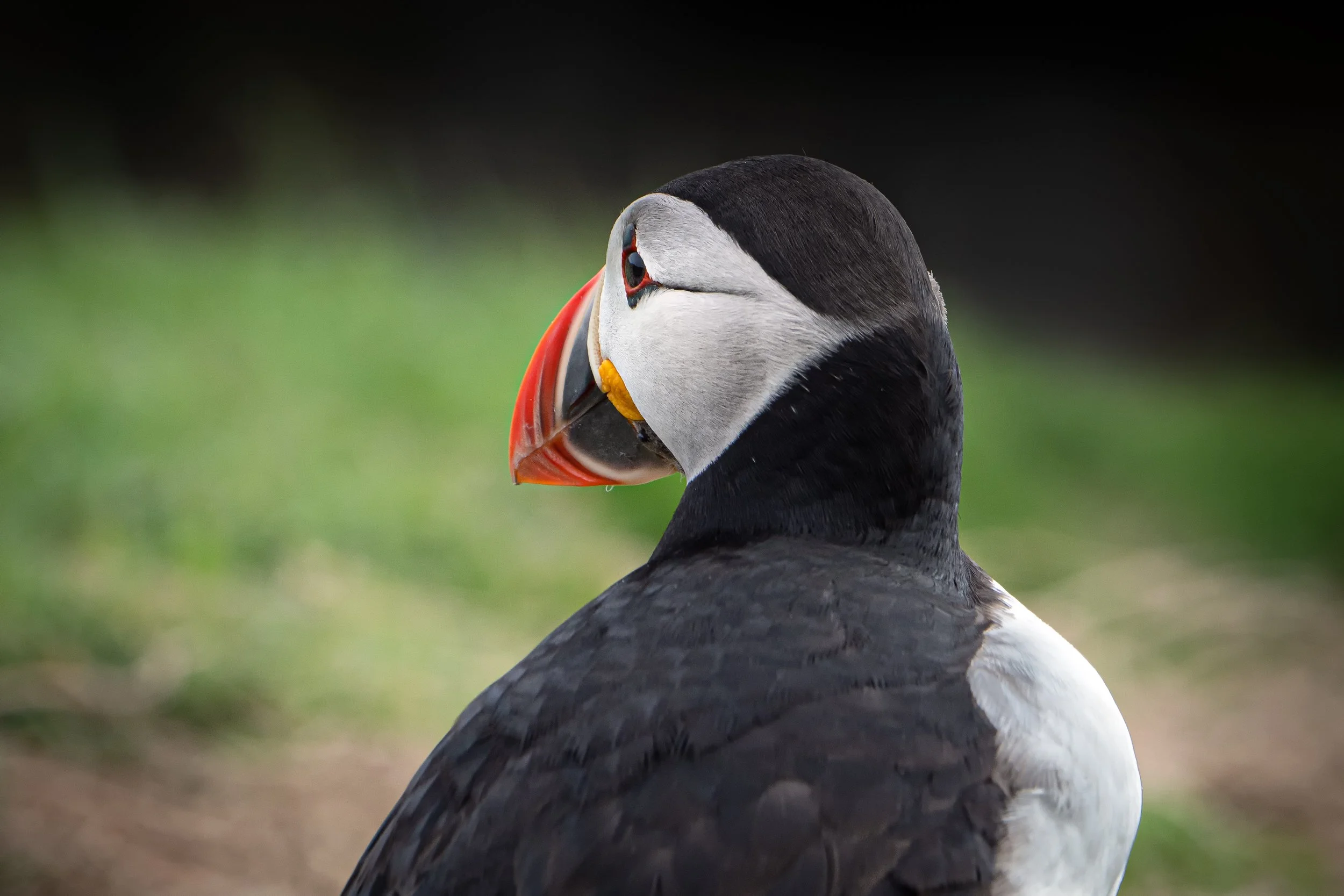 untitled (268 of 1928)-Edit-Edit.jpg