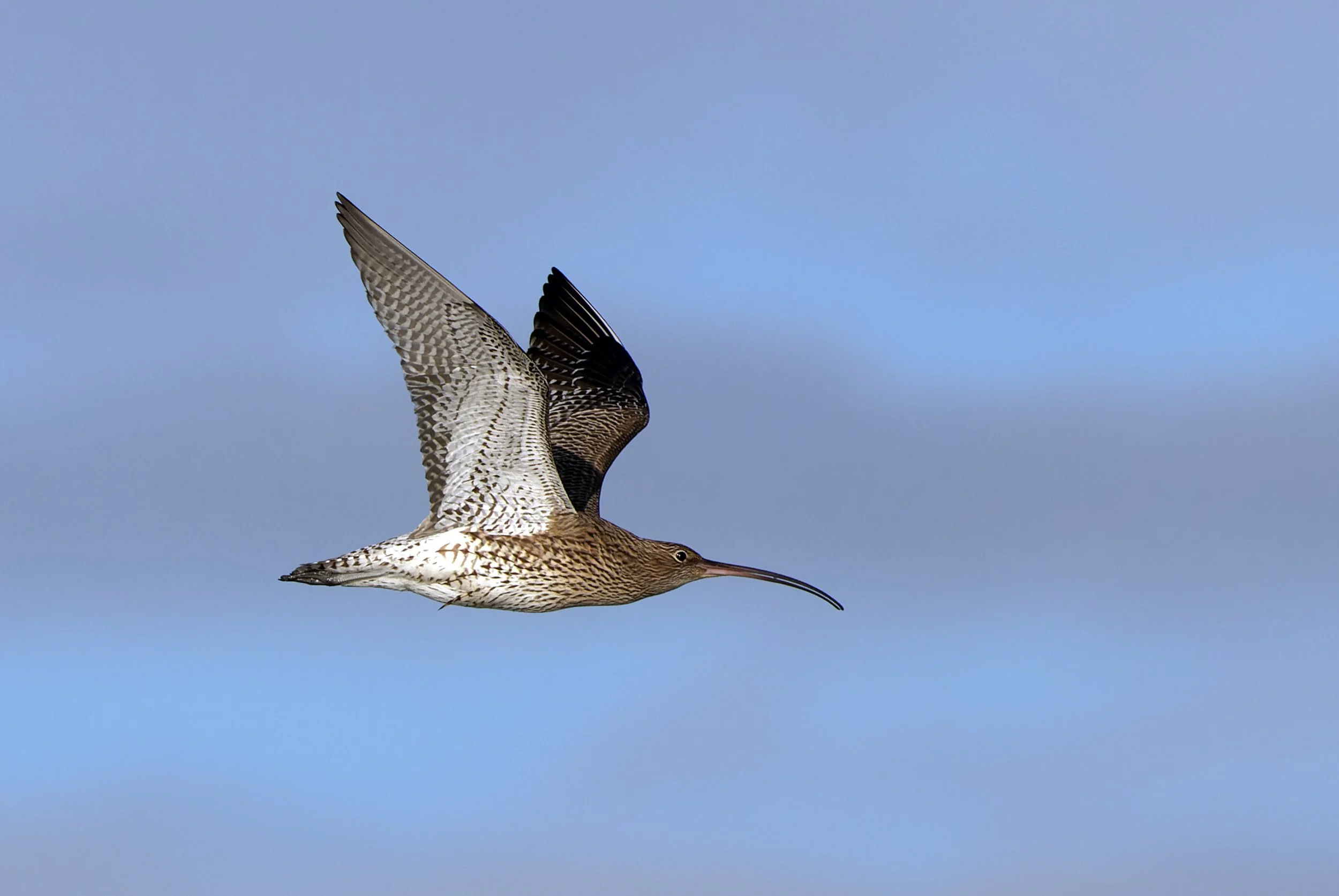 untitled (387 of 544)-CR3_DxO_DeepPRIME-Edit.jpg