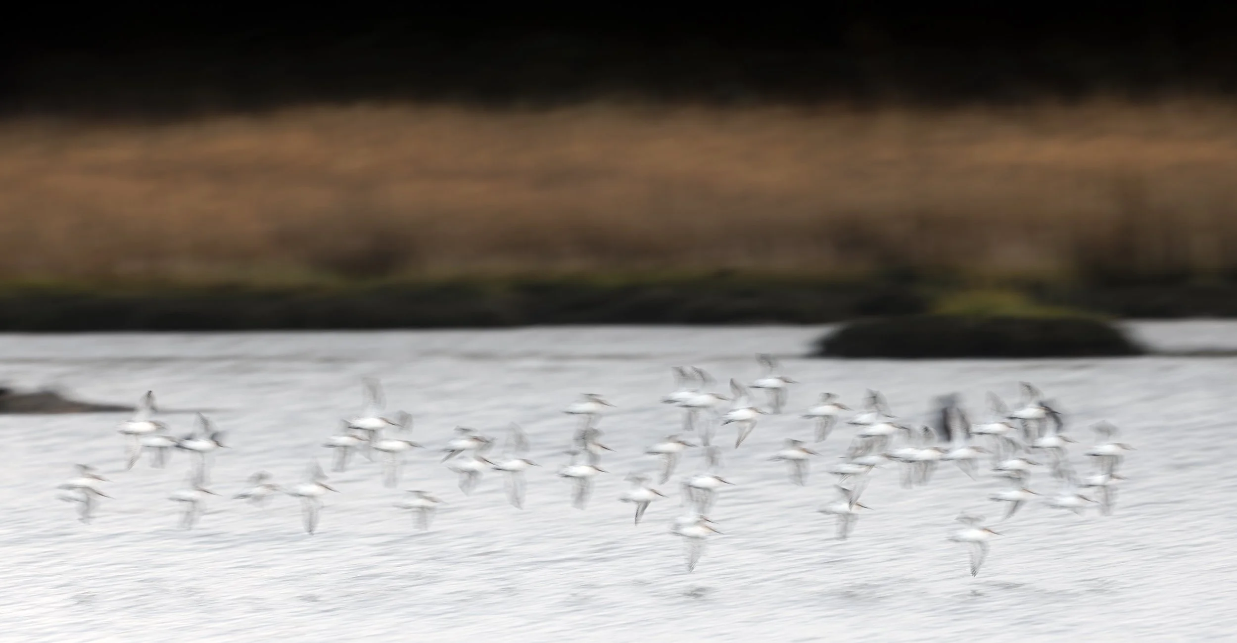 untitled (361 of 544)-CR3_DxO_DeepPRIME-Edit.jpg