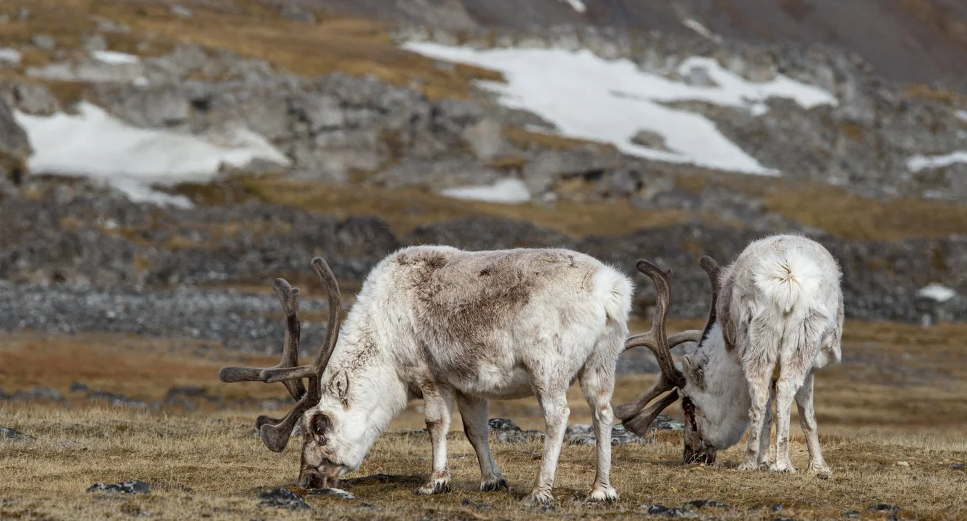 Arctic Voyage302012-182-Edit.jpg