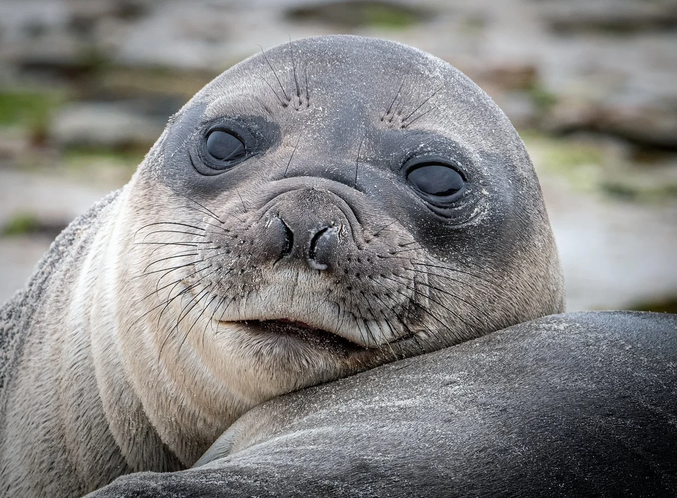 Lumix  3 (122 of 579)-Edit-Edit.jpg