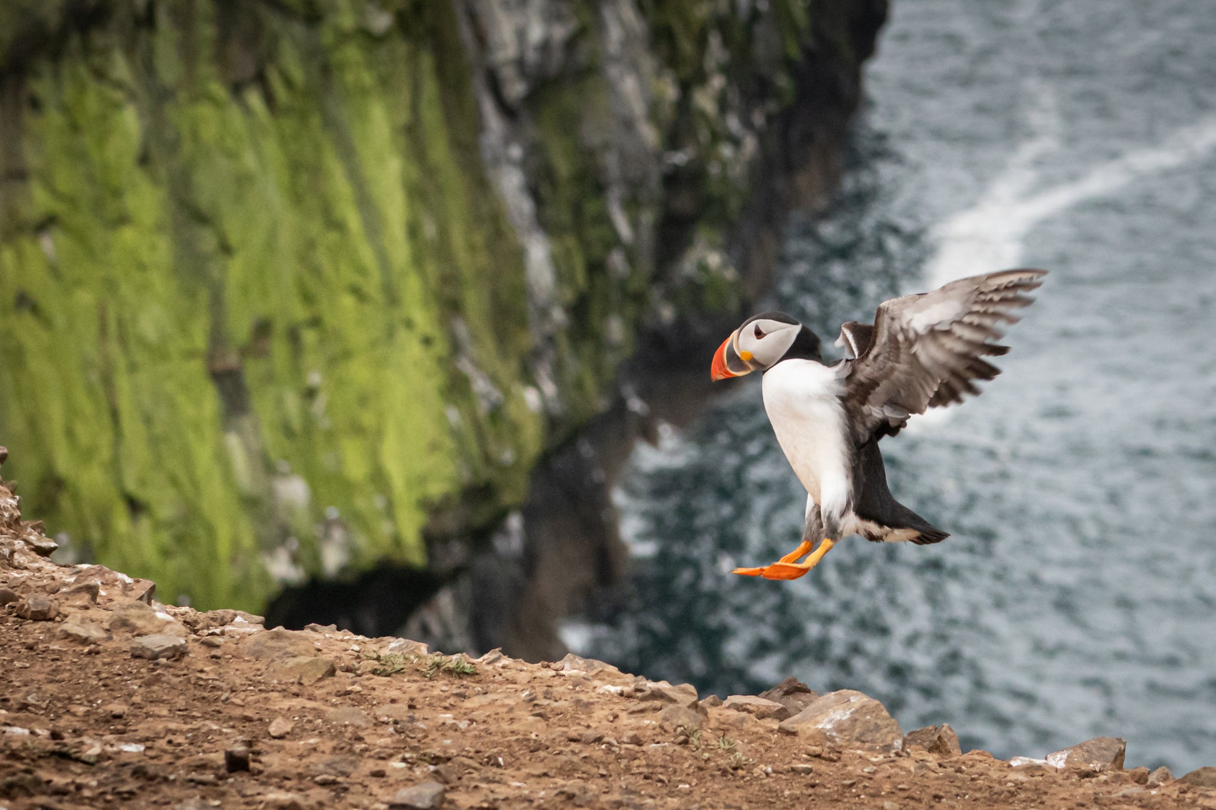 untitled (631 of 1928).jpg