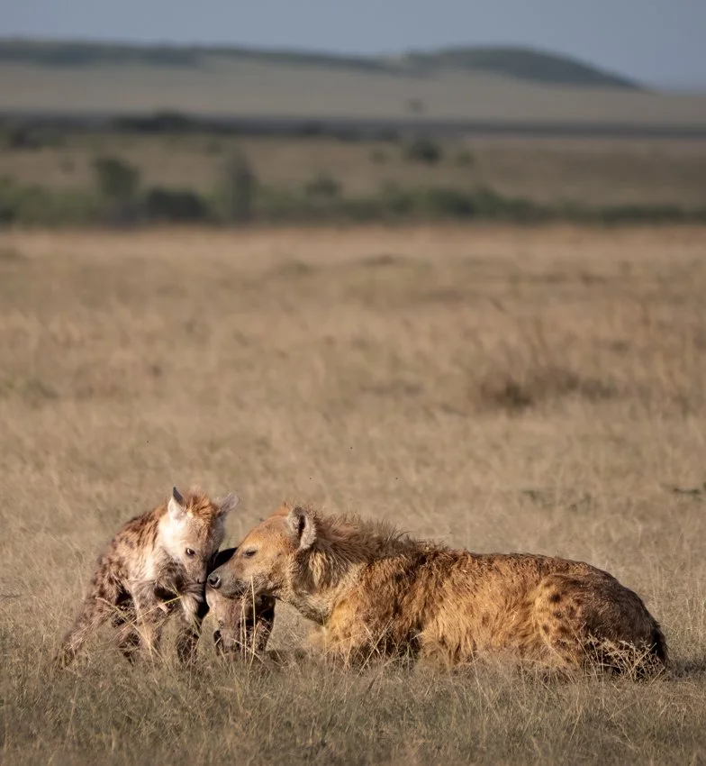 untitled (148 of 6546)-Edit.jpg