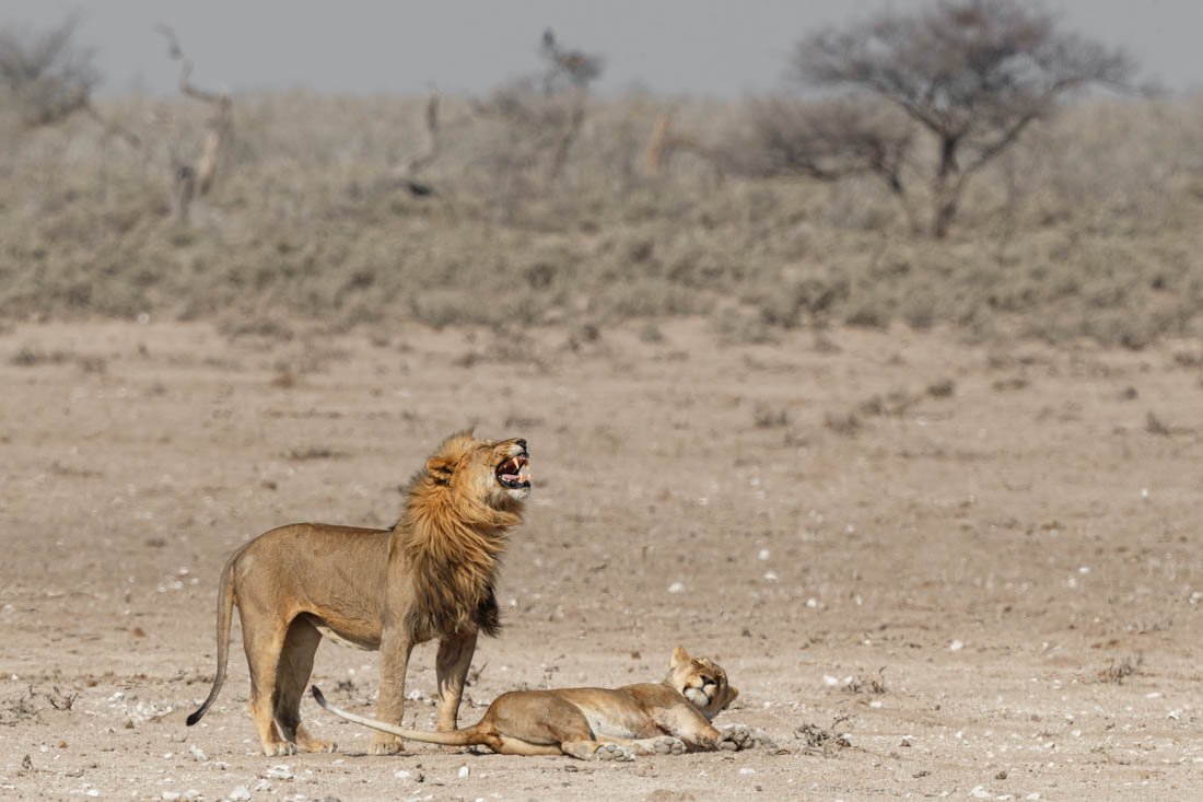 Namibia 19 (177 of 534)-DxO_DeepPRIME XD2s.jpg