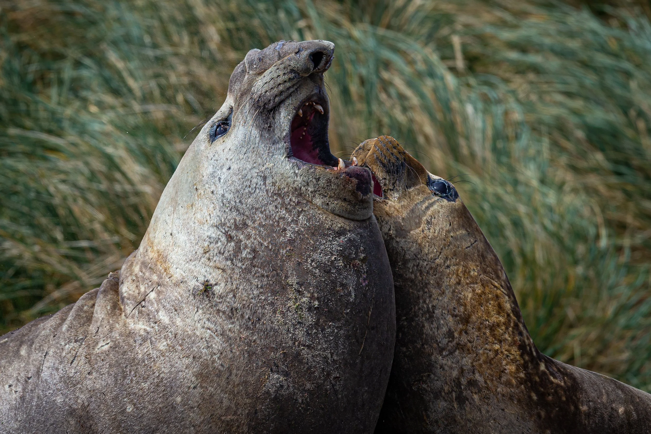 untitled (268 of 348).jpg