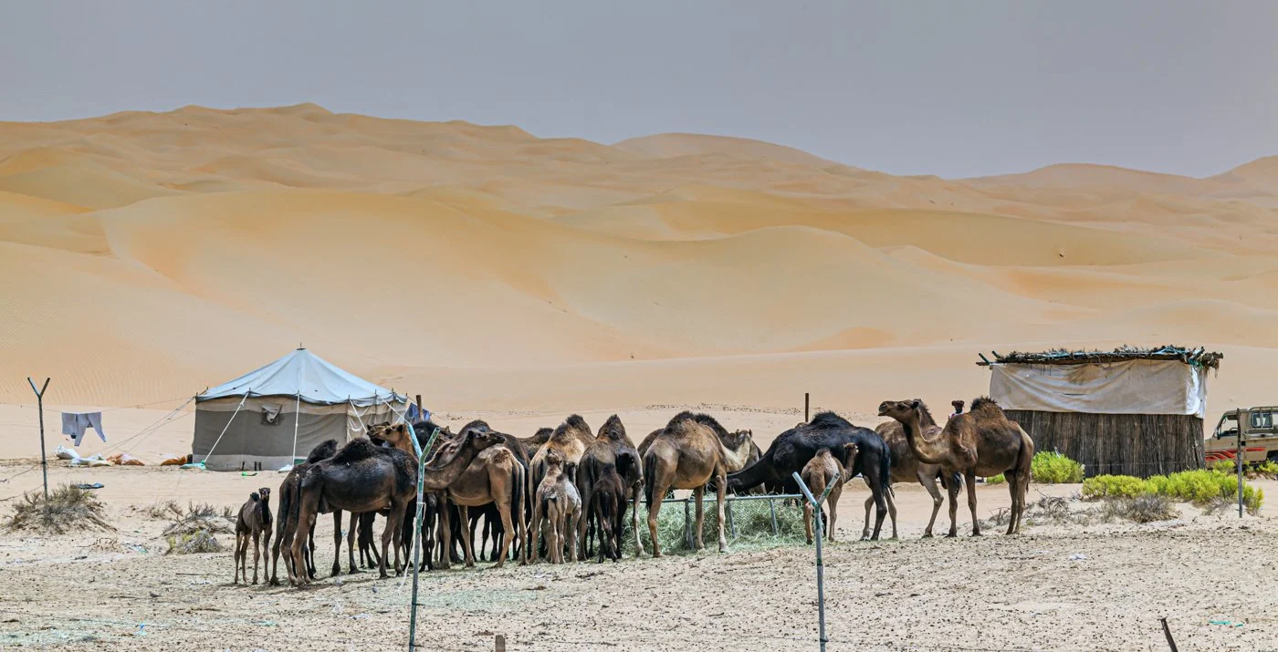 Liwa Sand Dunes 111   May 08, 2009.jpg
