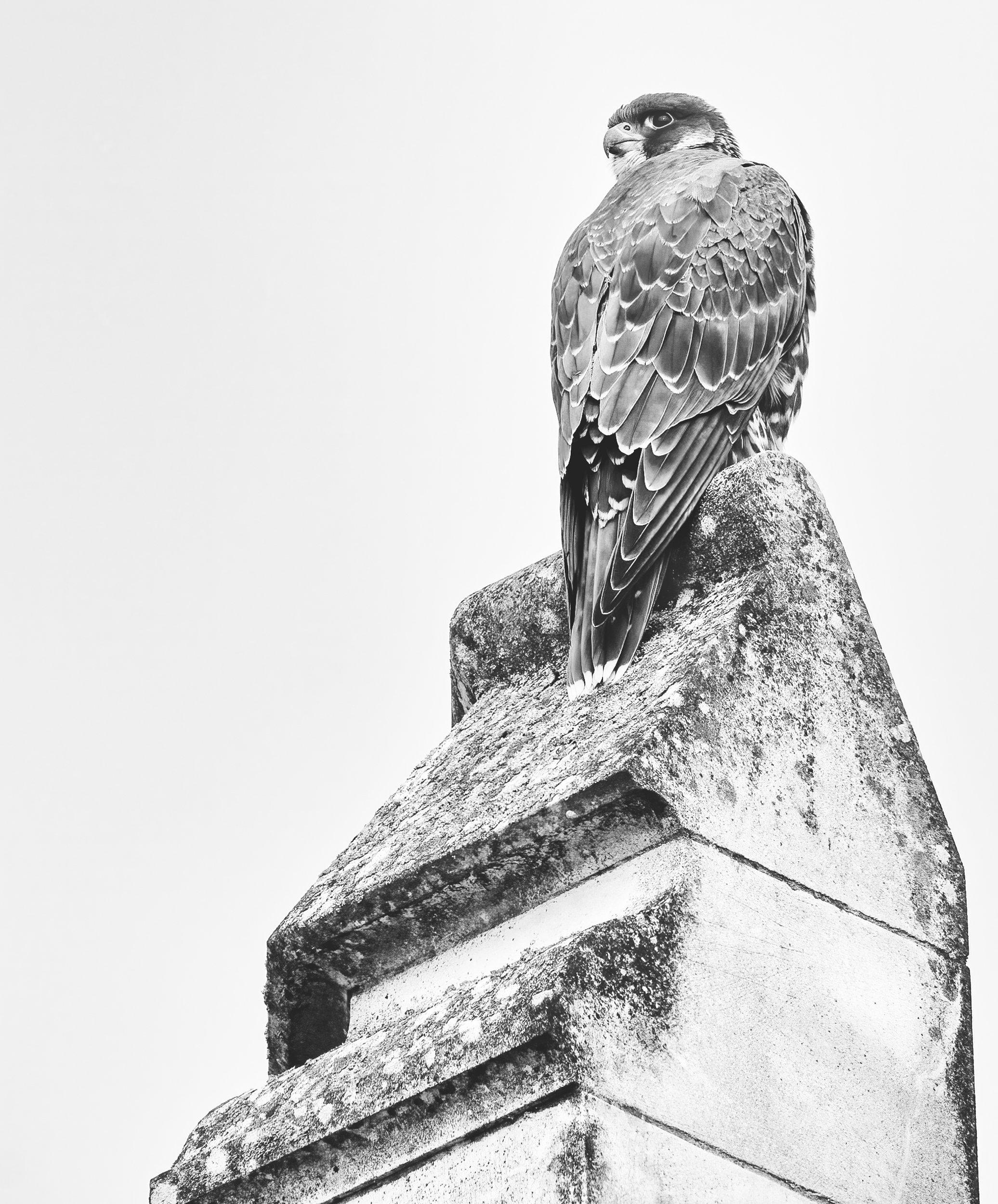 untitled (223 of 810)-Edit-Edit-Edit-Edit-Edit-Edit-Edit.jpg