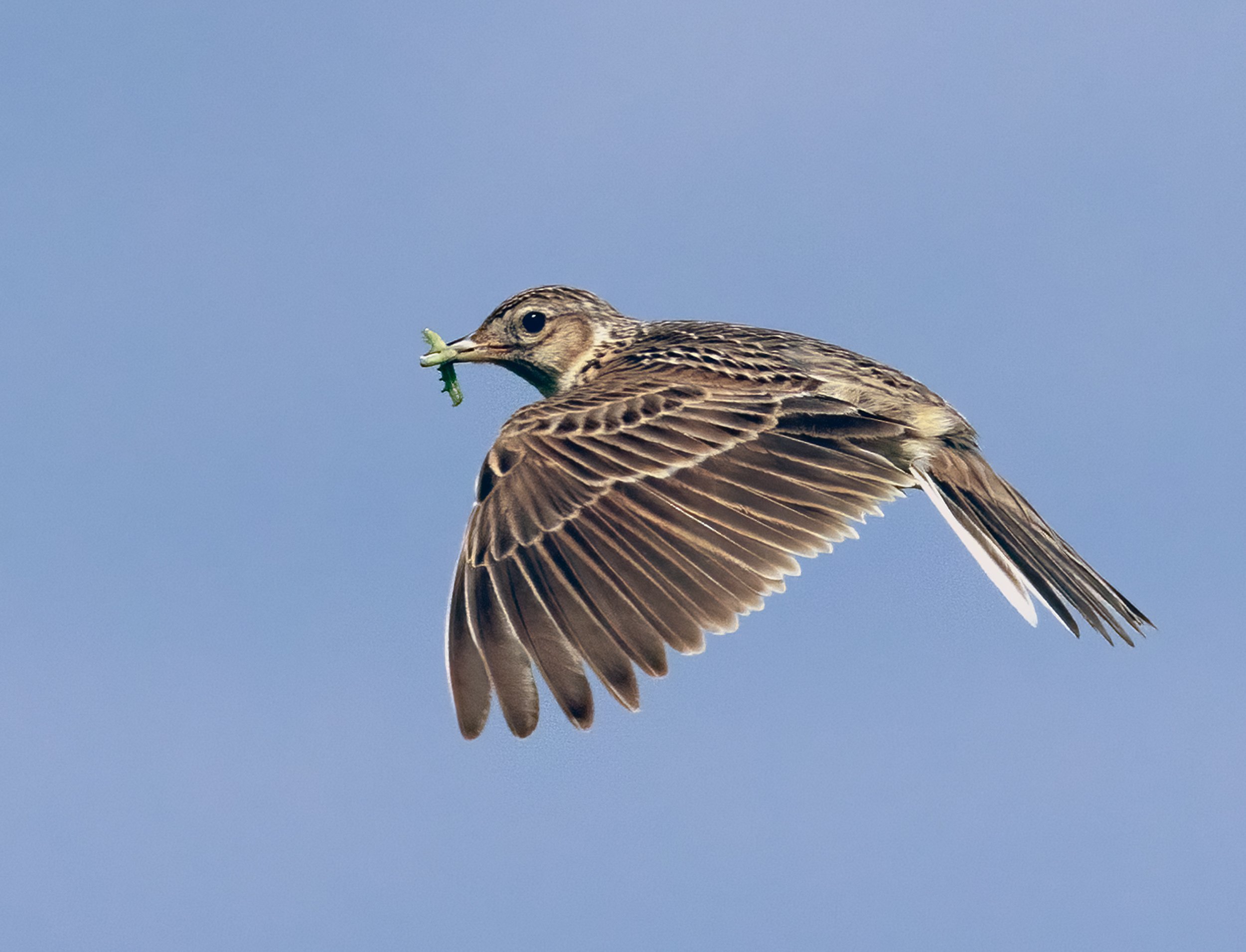 untitled (90 of 246)-Edit-Edit.jpg