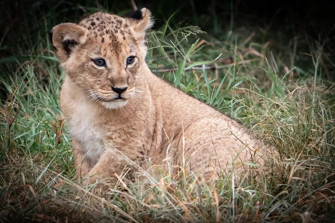 untitled (1991 of 6546).jpg