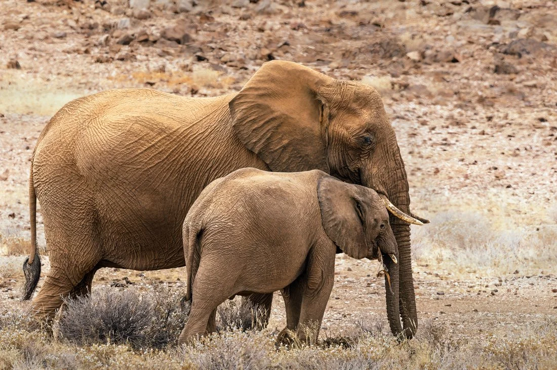 Namibia 10 (25 of 213)-CR2-Edit.jpg