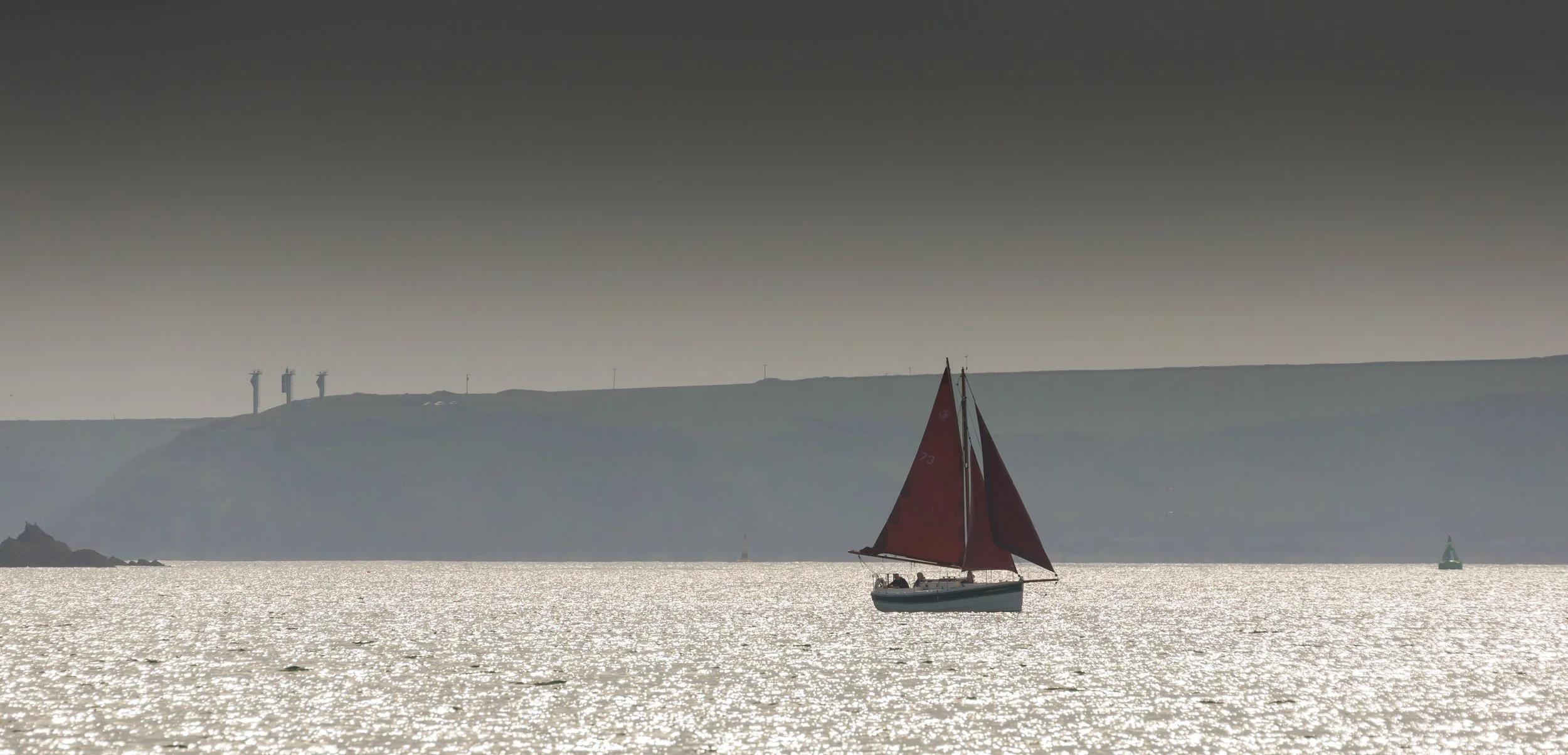 Skomer Boat Trip mid June (114 of 121).jpg
