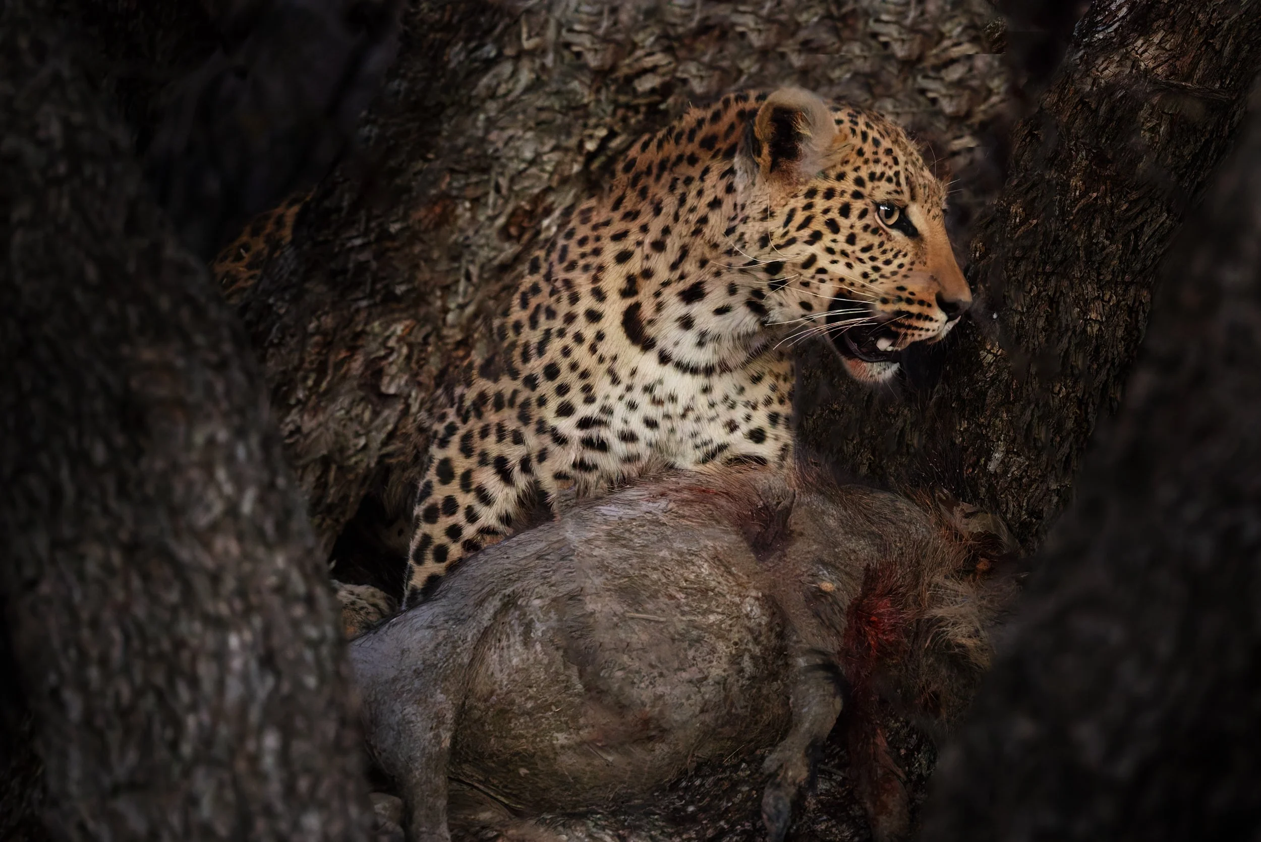 Namibia 18 (1995 of 2184)-DxO_DeepPRIME XD2s-Edit.jpg