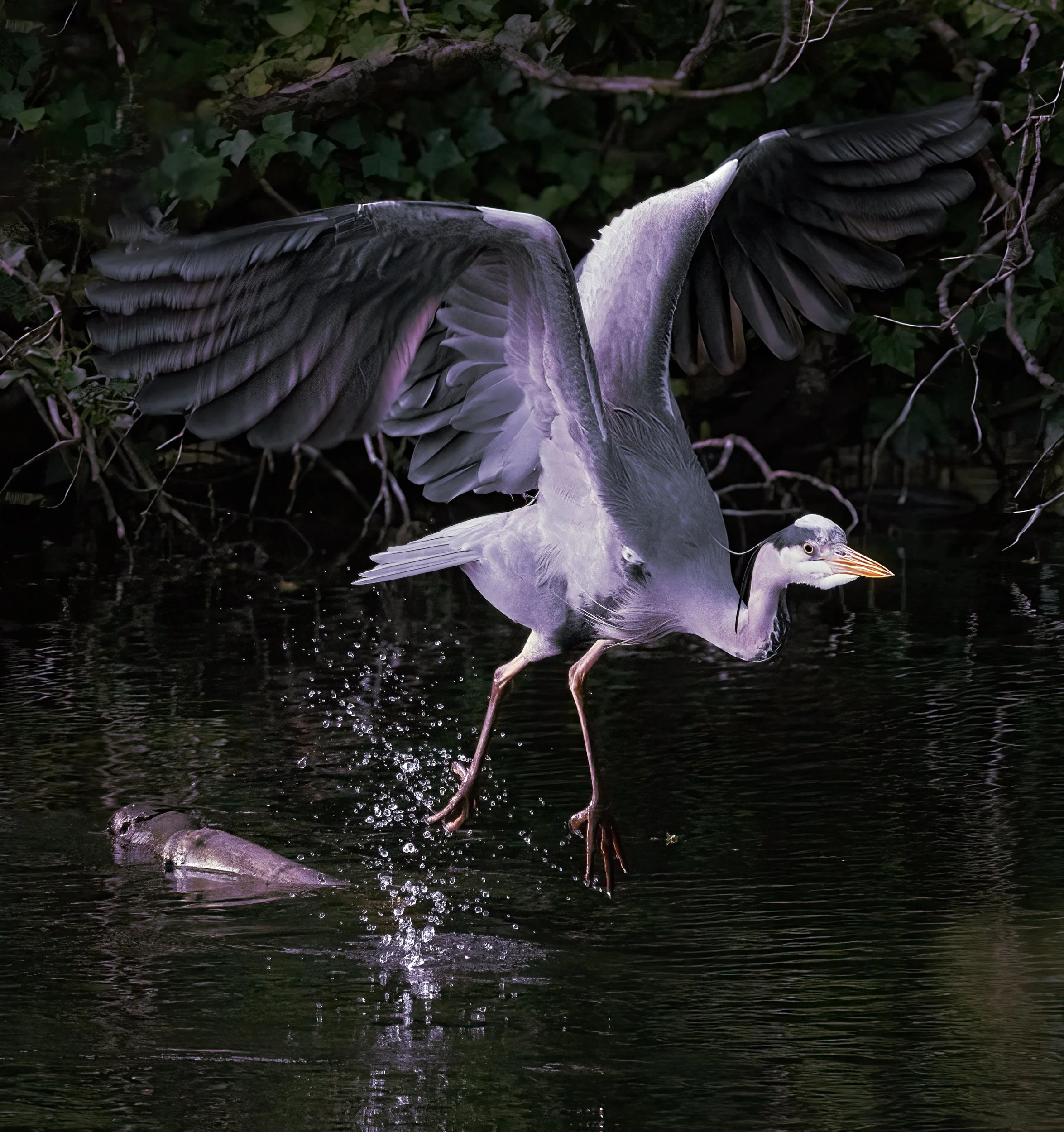 untitled (32 of 144)-Edit-Edit.jpg