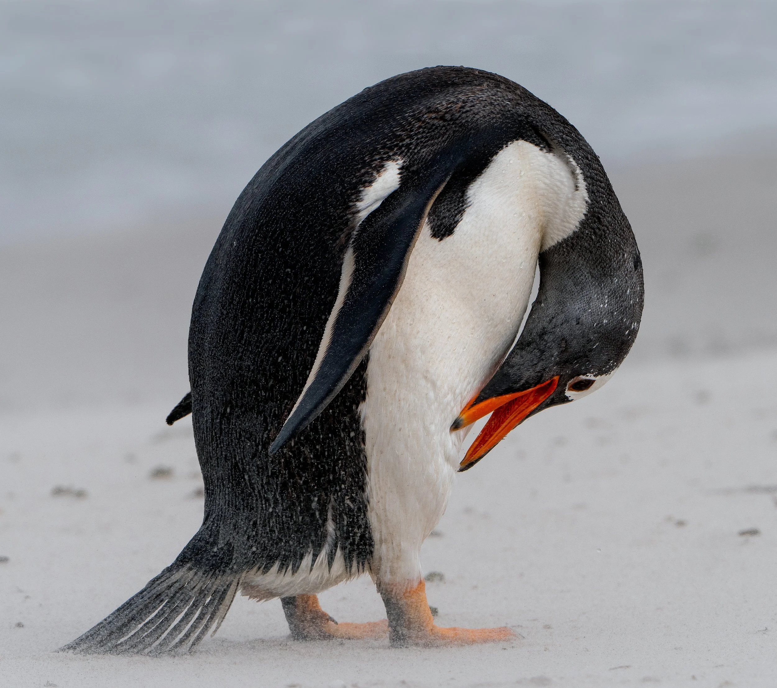 Lumix  3 (477 of 579)-Edit-Edit-Edit.jpg