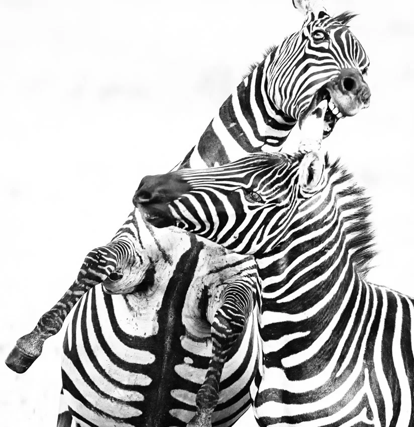 Lake Nukuru, Kenya  2011 13-2479-Edit-Edit-Edit-Edit-Edit-Edit-Edit.jpg