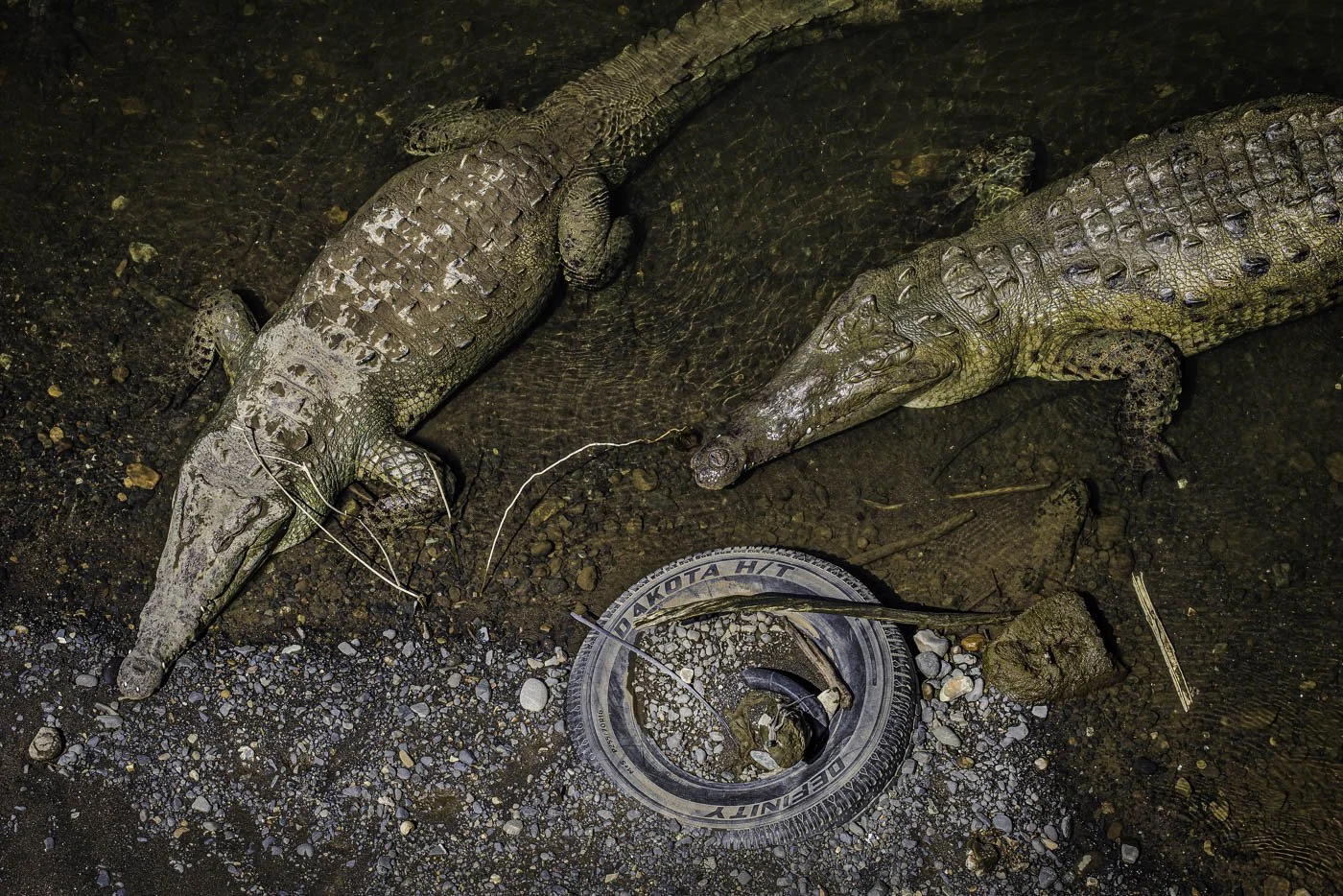 Costa Rica (1058 of 3839)-Edit-Edit.jpg