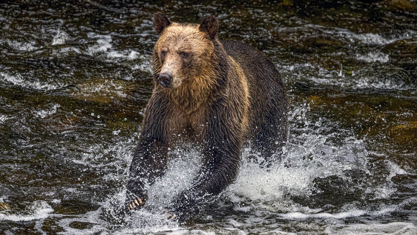 untitled (818 of 1393)-Edit-Edit-Edit.jpg