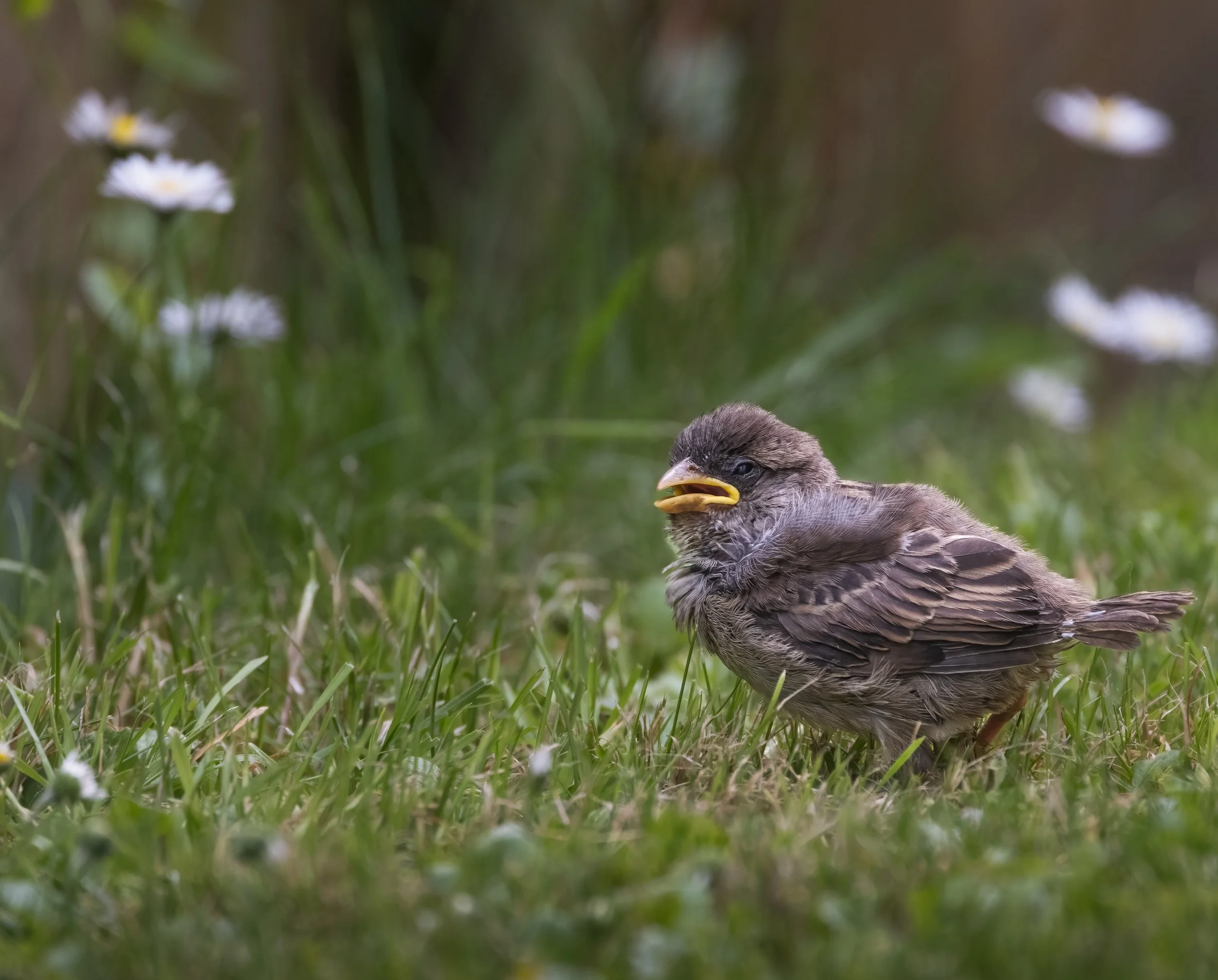 untitled (88 of 761)-Edit-Edit.jpg