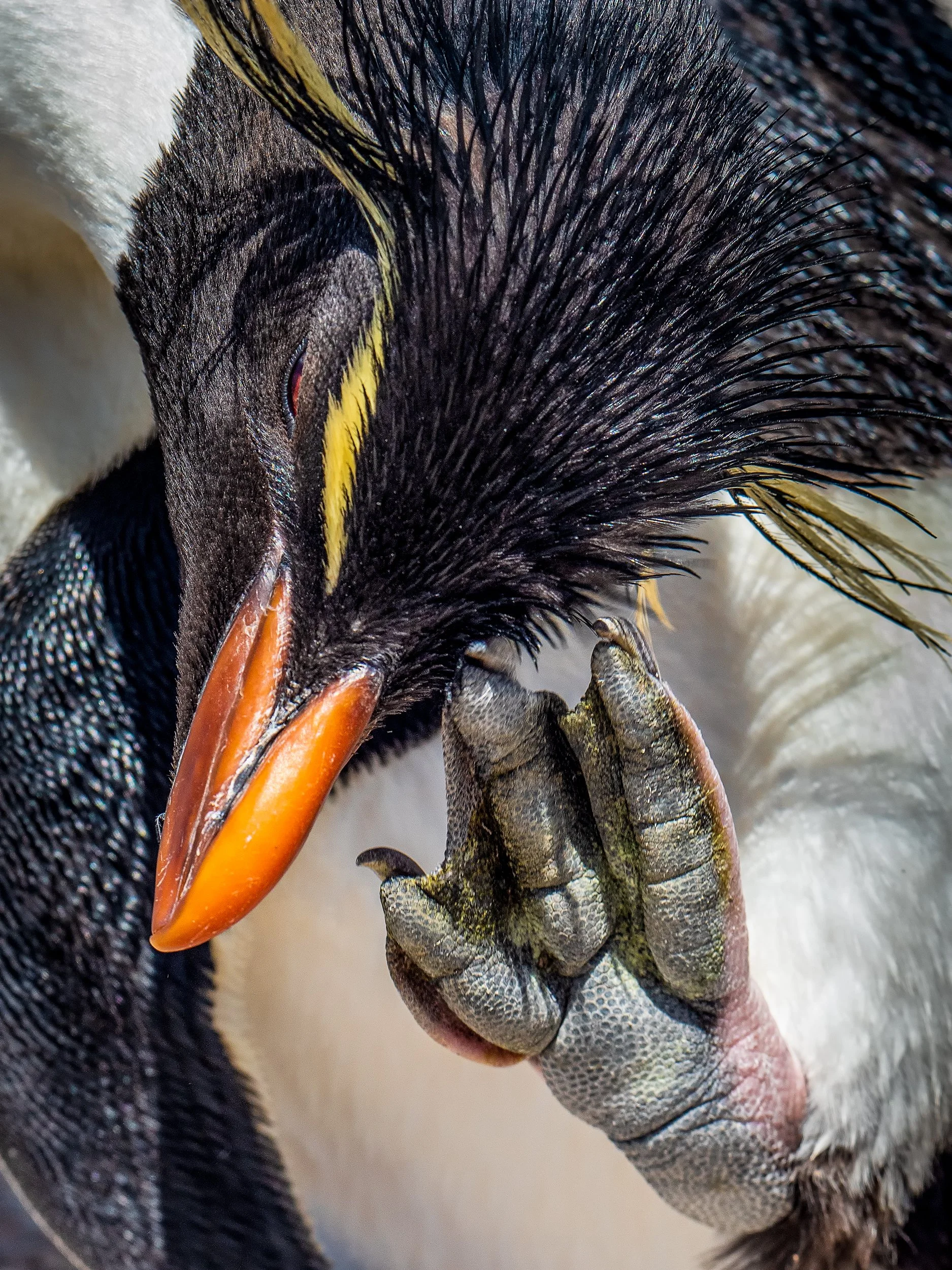 Lumix  4 (555 of 712)-Edit-Edit.jpg