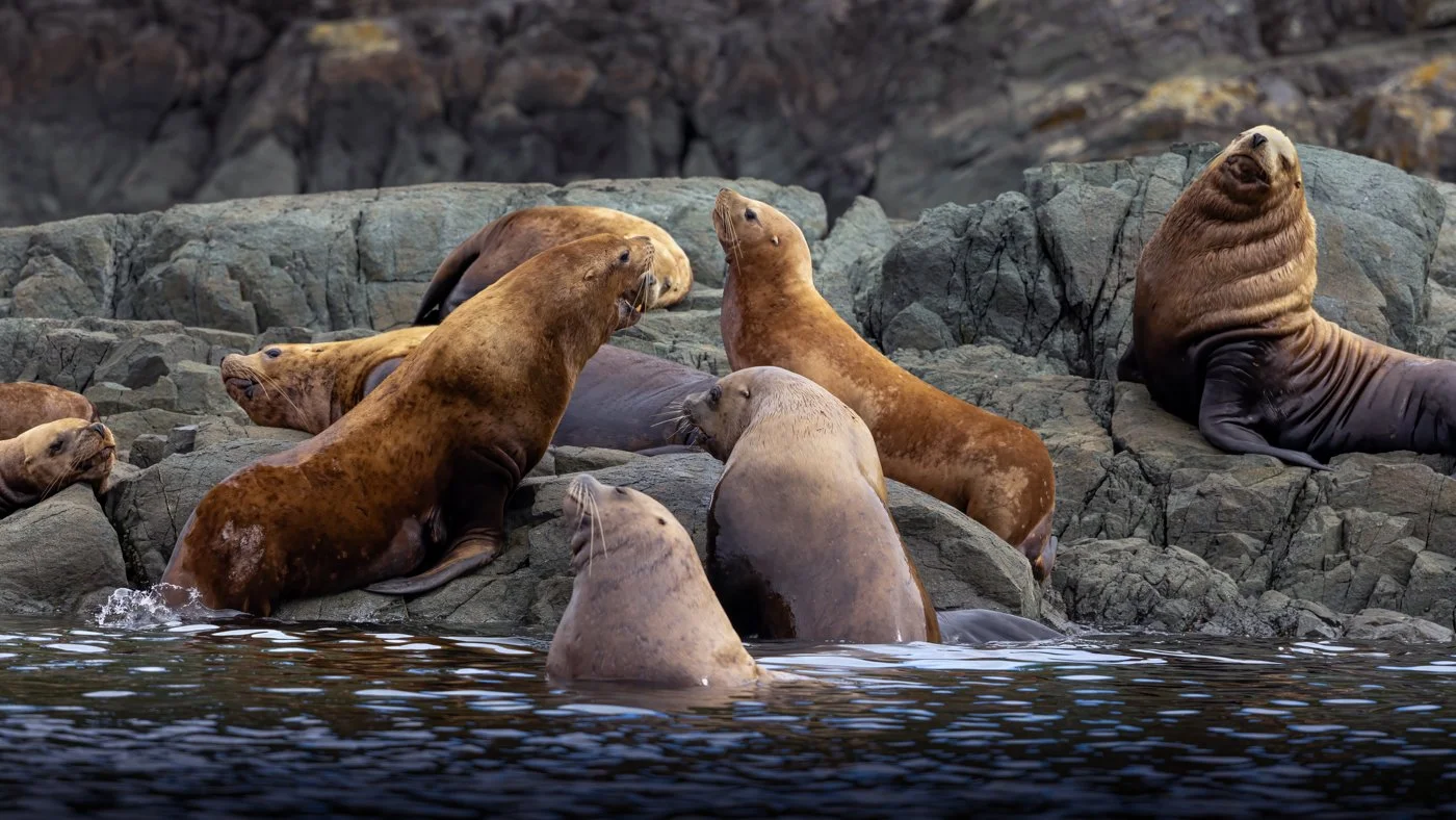 untitled (462 of 870)-Edit-Edit-Edit.jpg