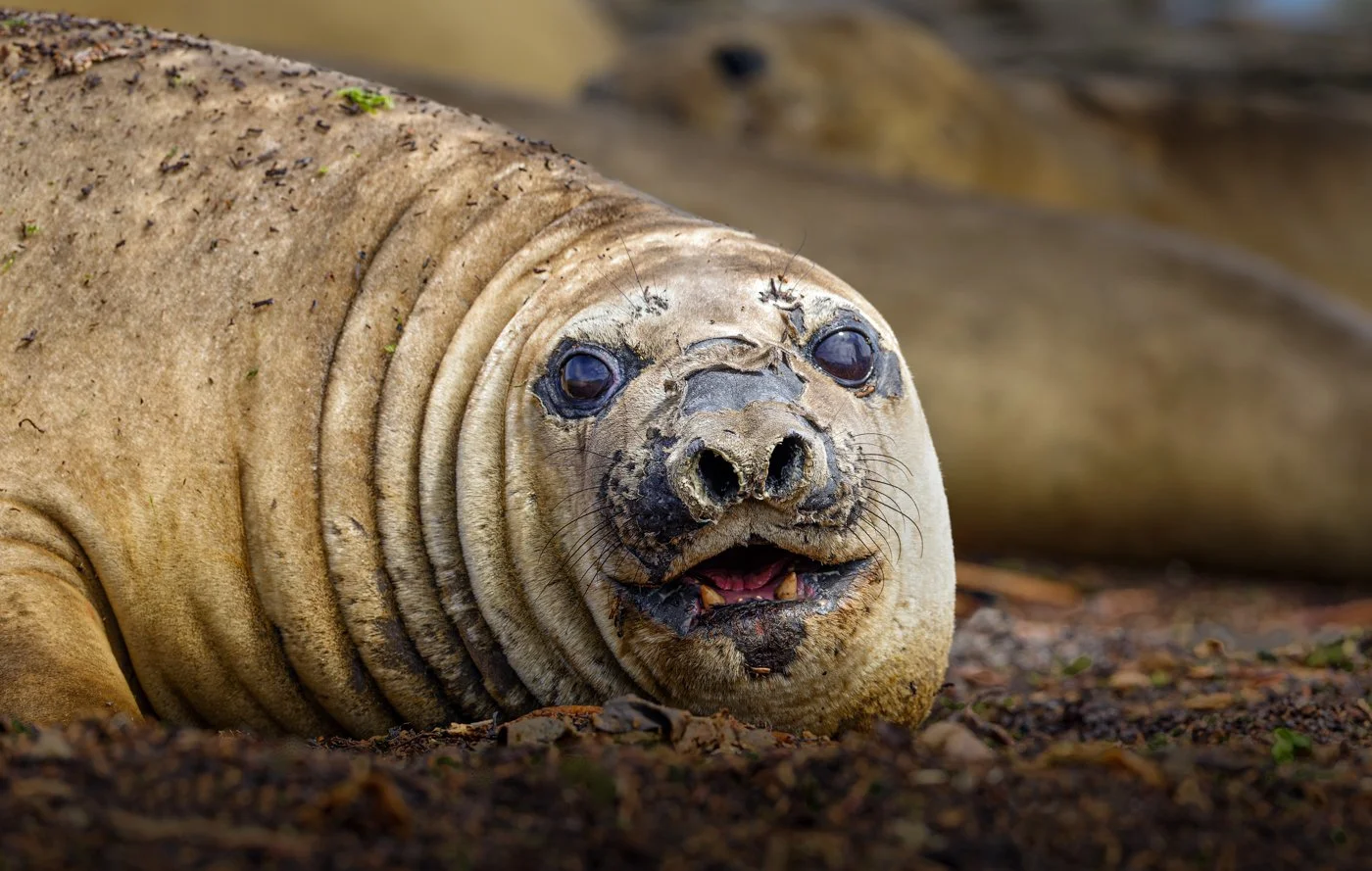 untitled (165 of 348)-CR2mod_DxO_DeepPRIME-Edit.jpg