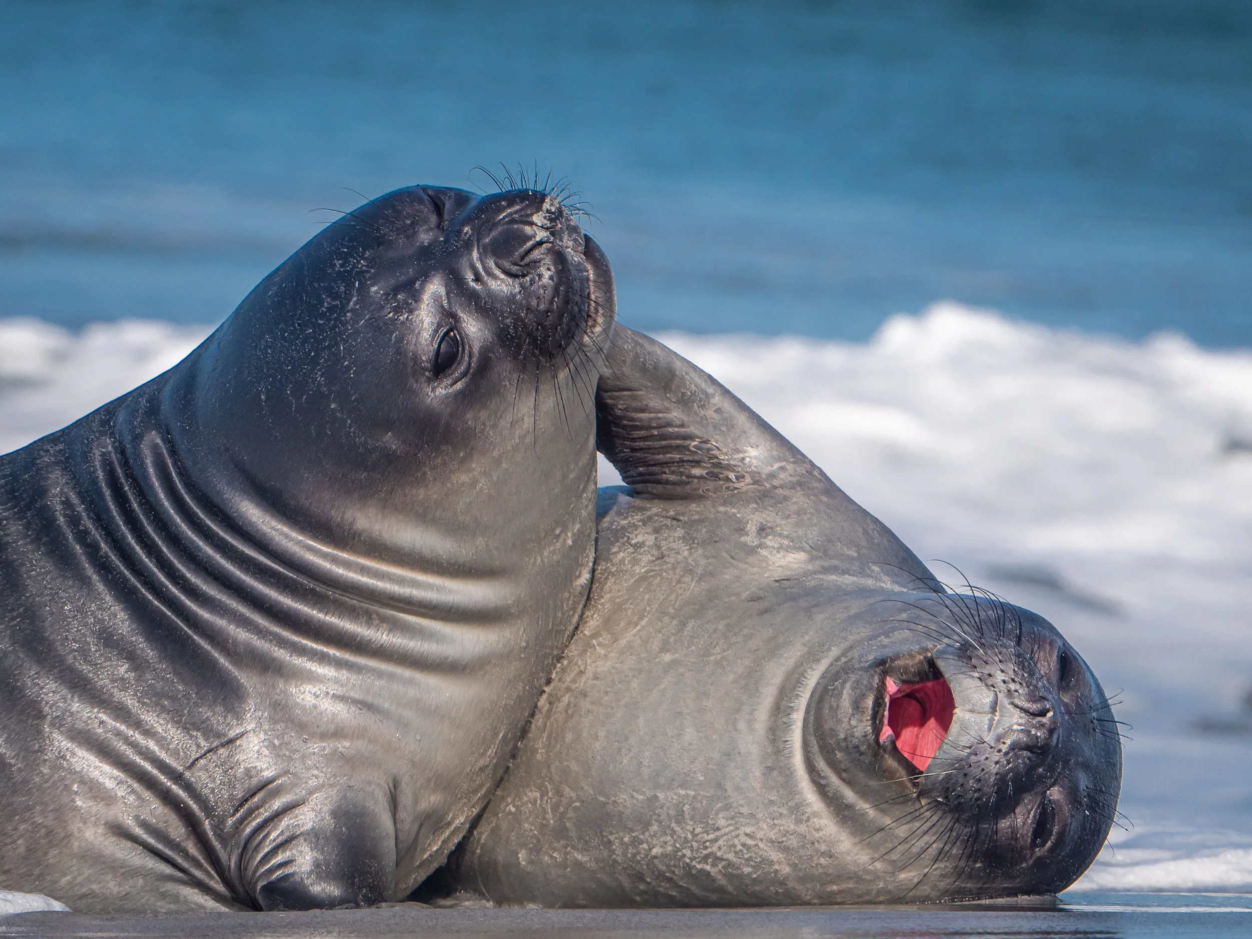 Lumix  4 (21 of 712).jpg