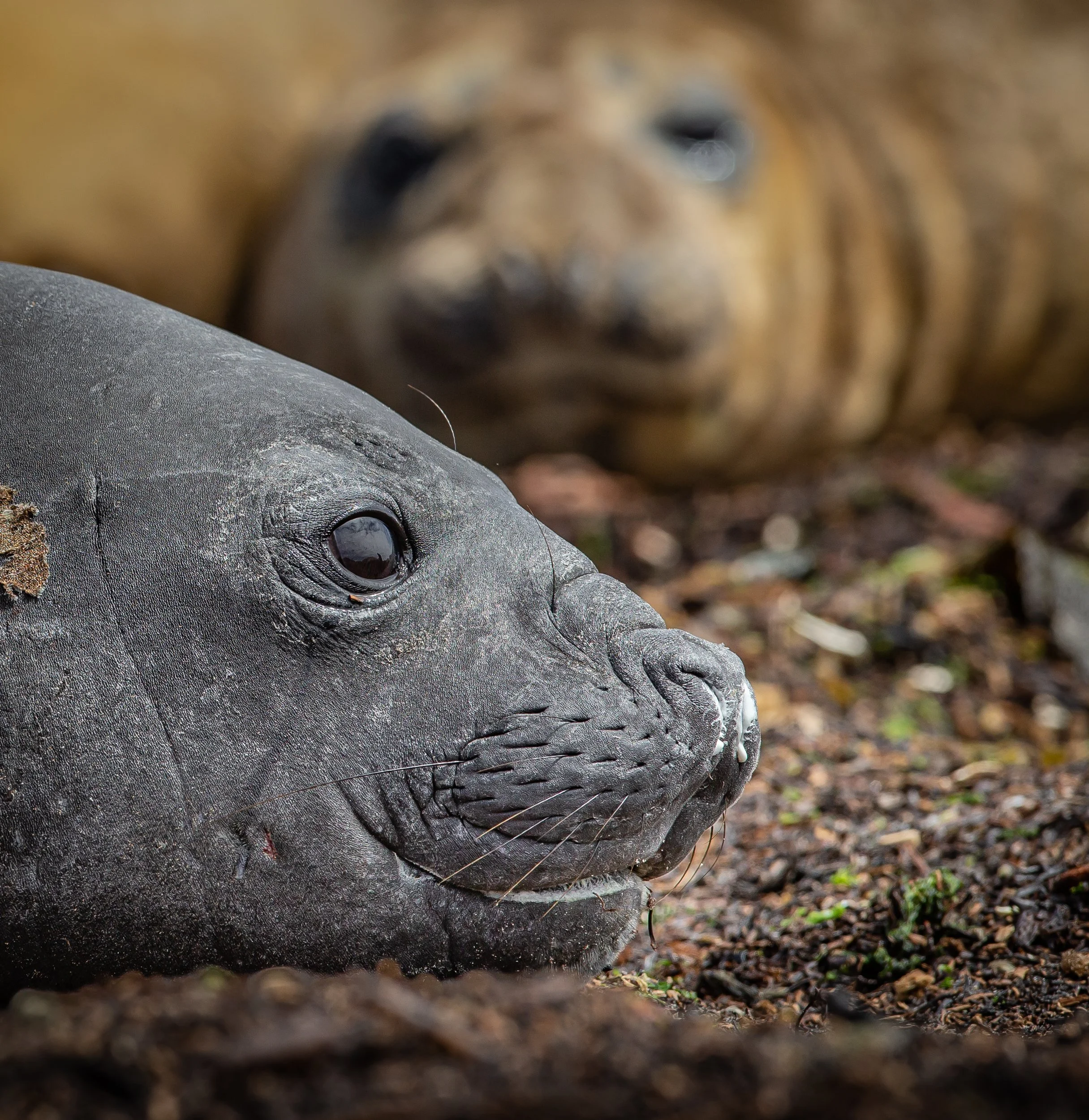 untitled (87 of 348).jpg