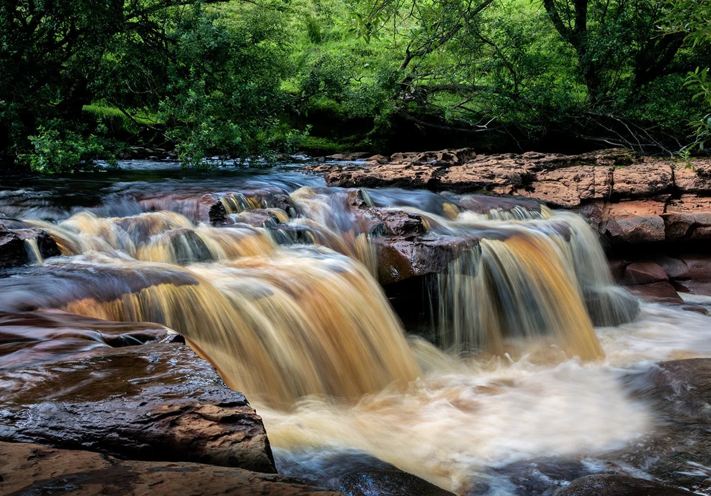 Orpington (247 of 1115).jpg