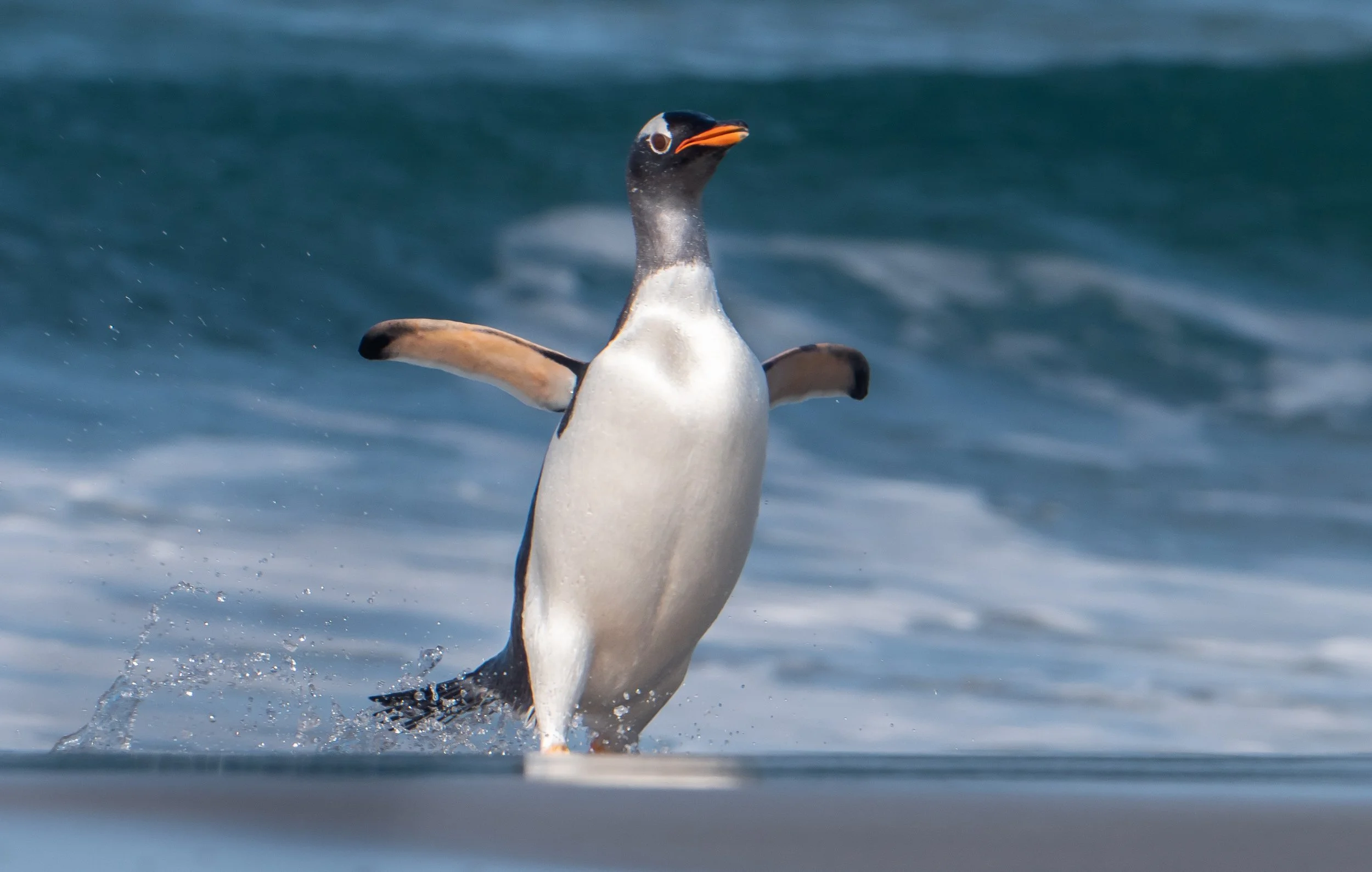 Lumix  4 (134 of 712).jpg