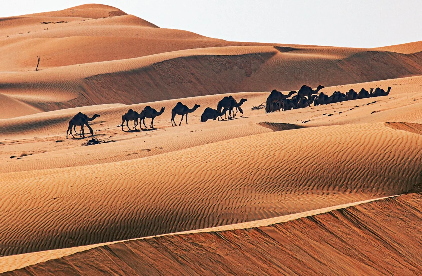Liwa Sand Dunes 1 2009-49-Edit.jpg