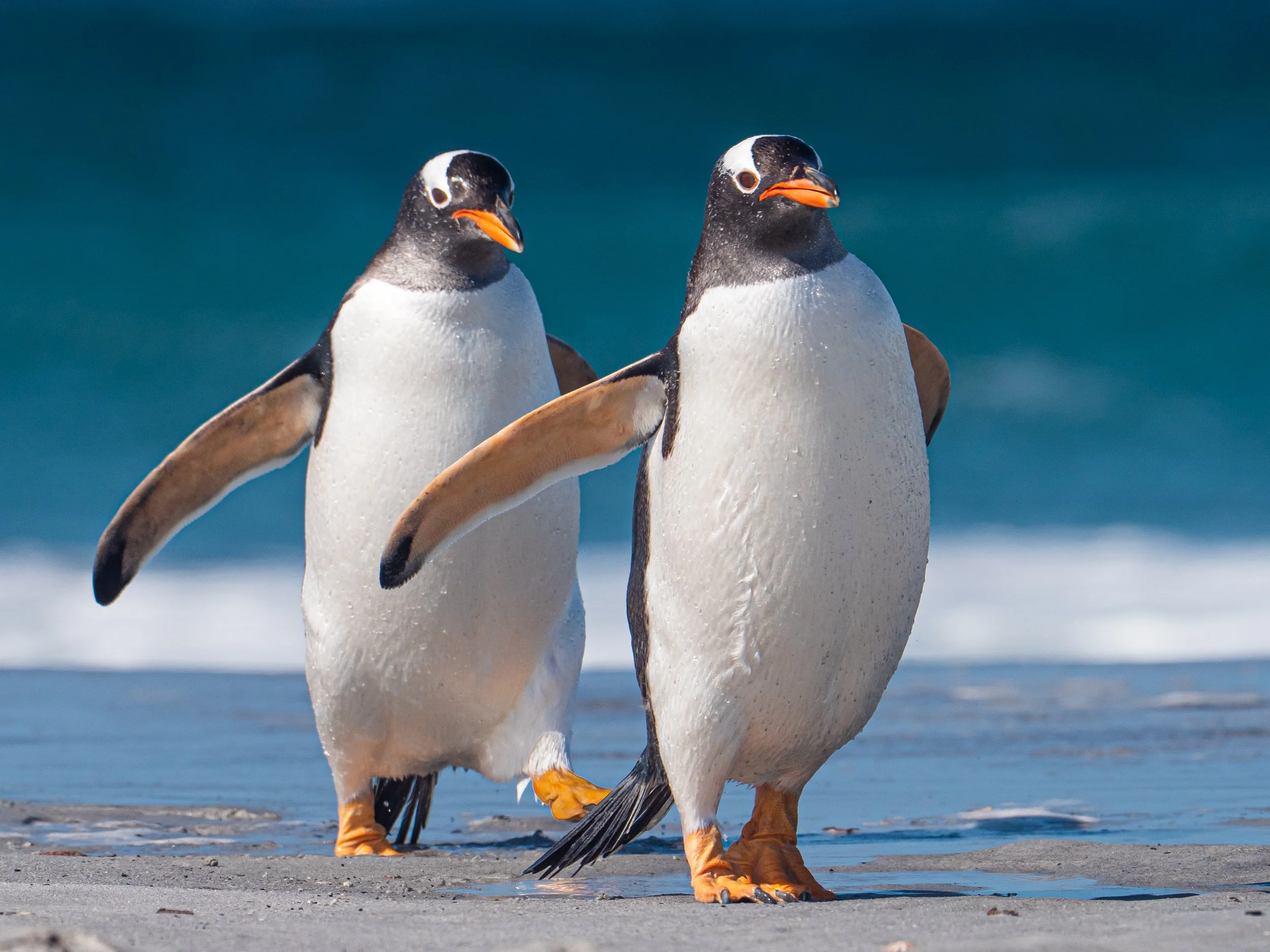 Lumix  4 (311 of 712).jpg