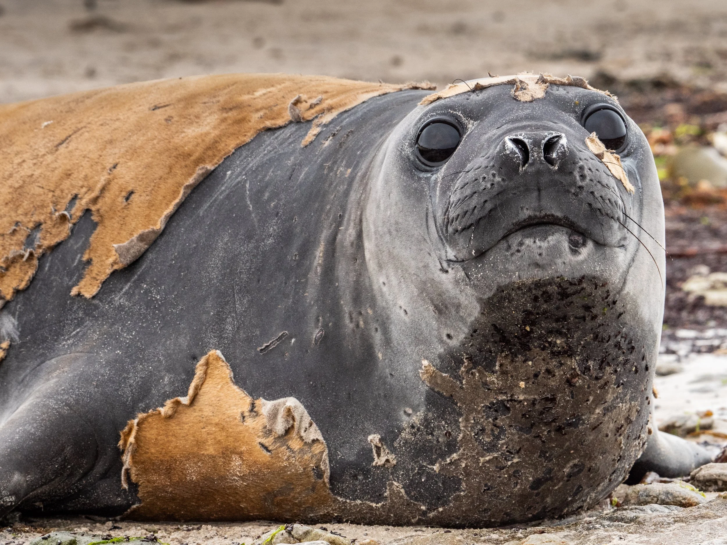 Lumix  3 (412 of 579).jpg