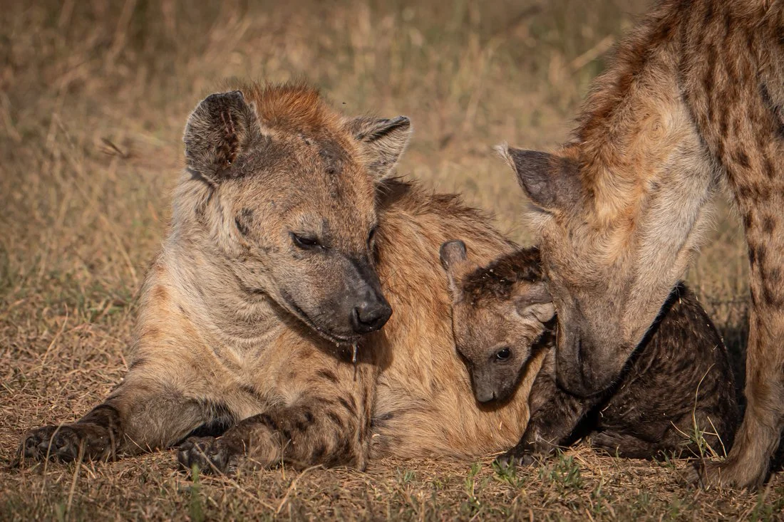 untitled (4038 of 6546).jpg