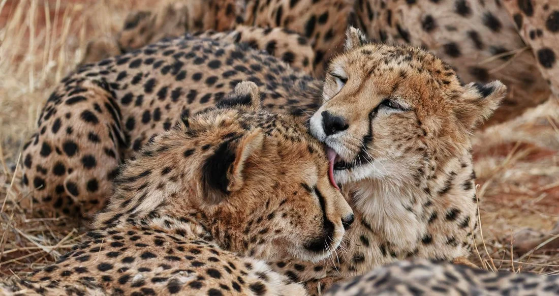 Namibia 21 (234 of 286)-DxO_DeepPRIME XD2s-Edit.jpg