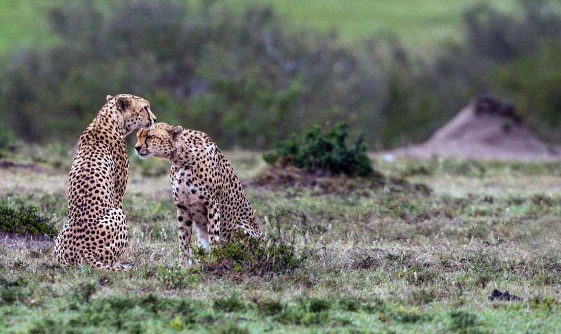 untitled (2 of 8)-Edit.jpg