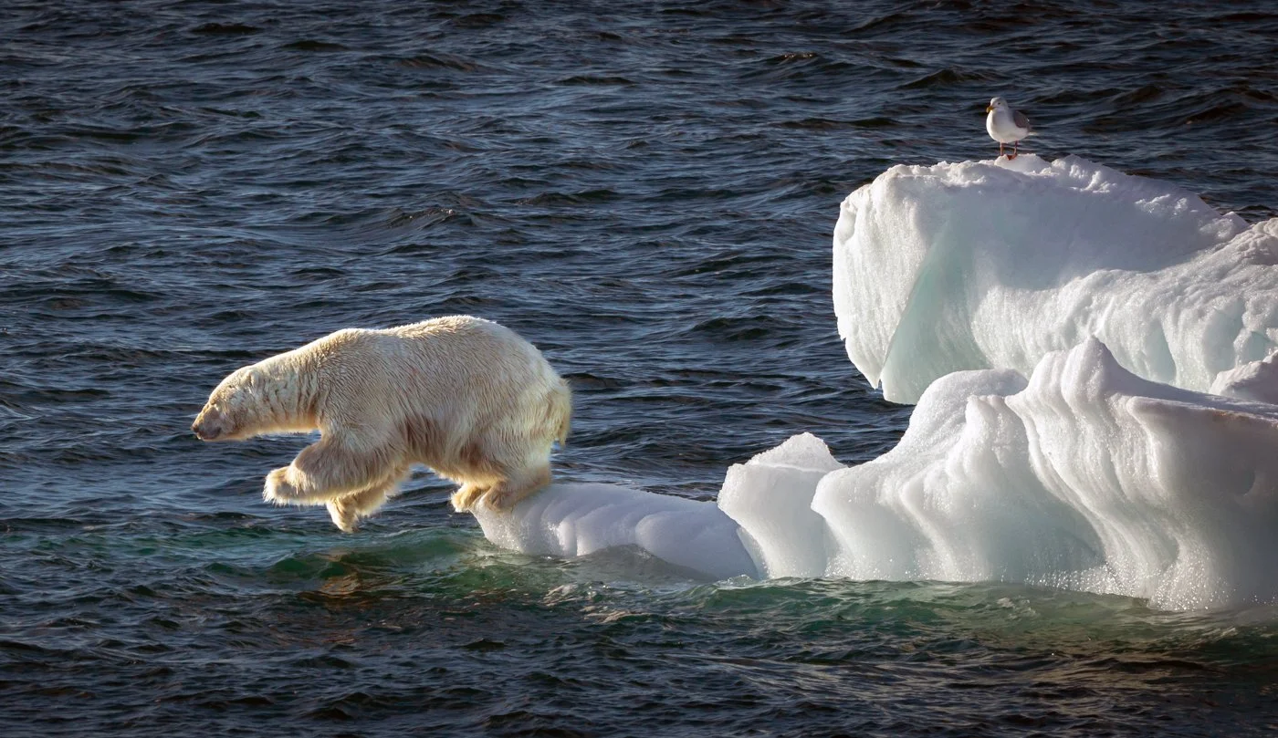 Arctic Voyage272012-138-frameEdit.jpg