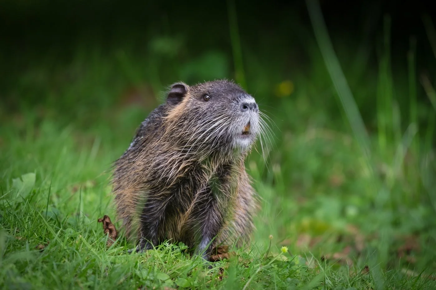 France June 2016 (2303 of 2884)-Edit.jpg