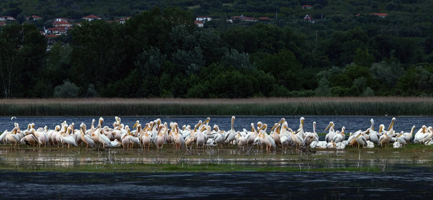 untitled (646 of 2162)-CR3-Edit.jpg