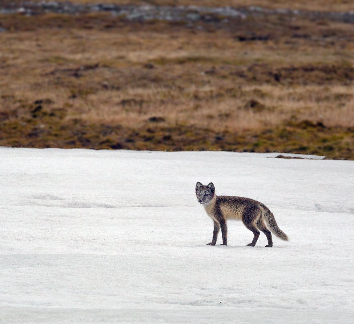 Arctic Voyage312012-165-Edit.jpg
