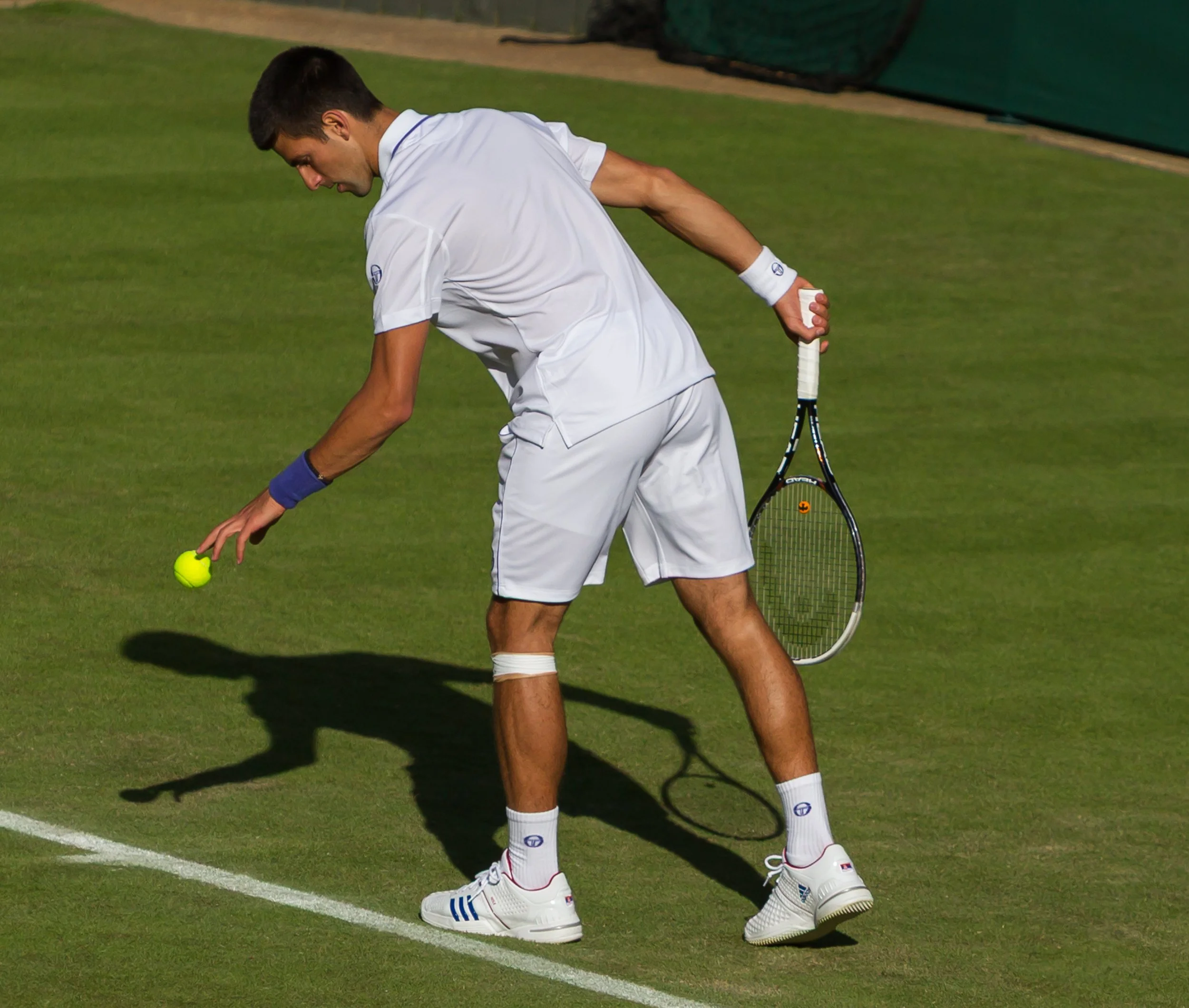 Wimbledon 2011  204.jpg