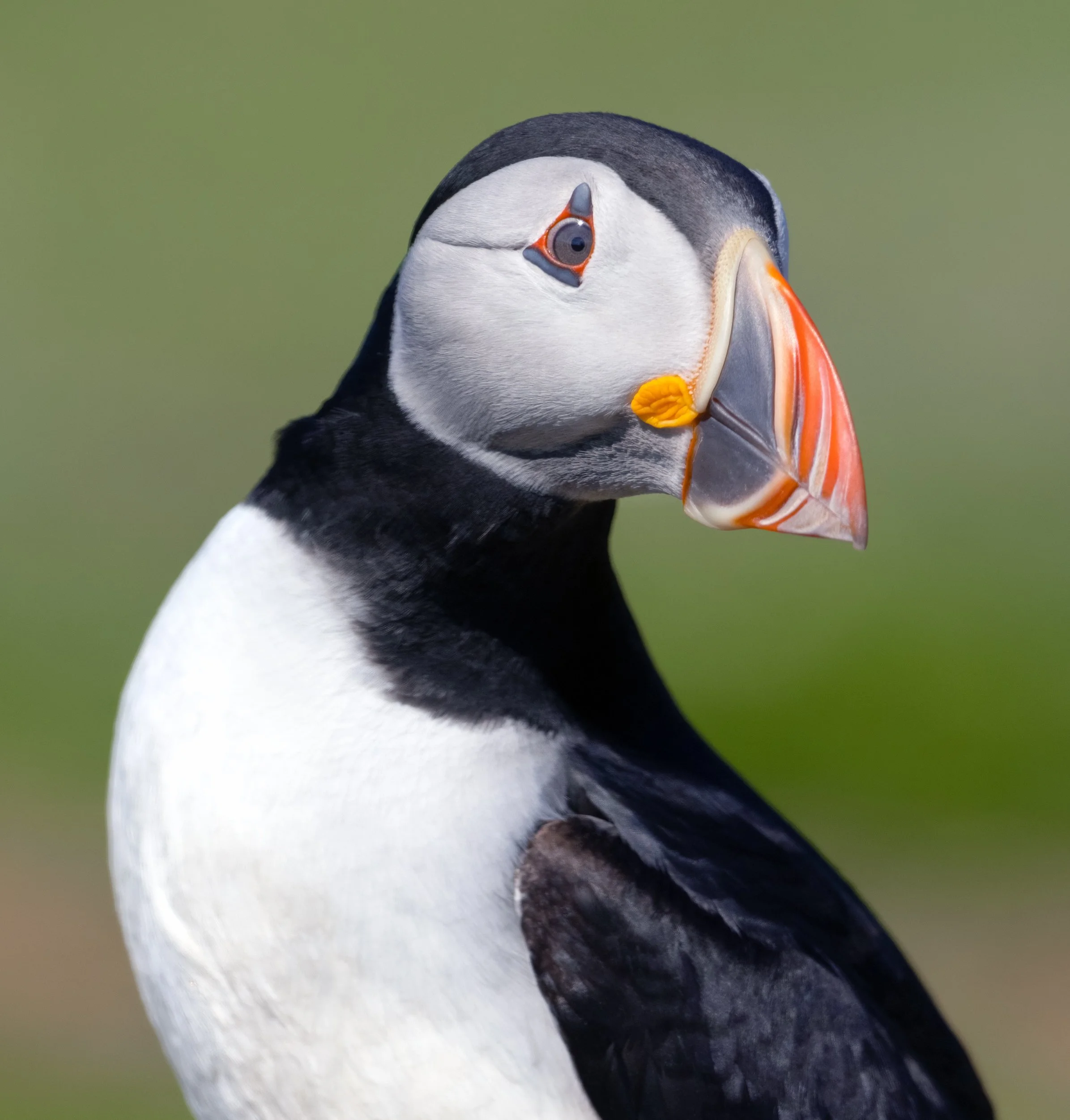 untitled (55 of 424)-Edit.jpg