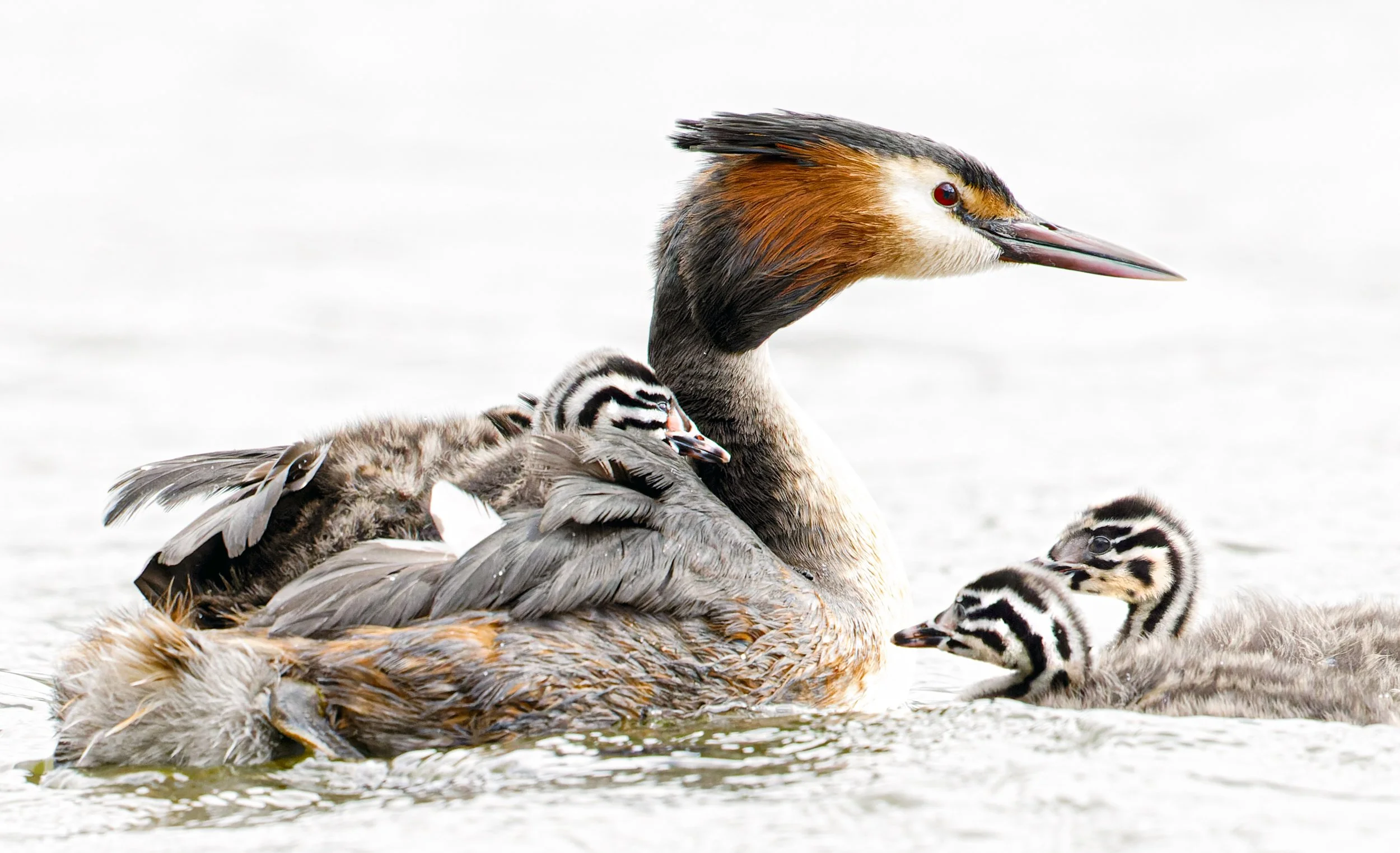 untitled (306 of 363)-CR3-Edit.jpg