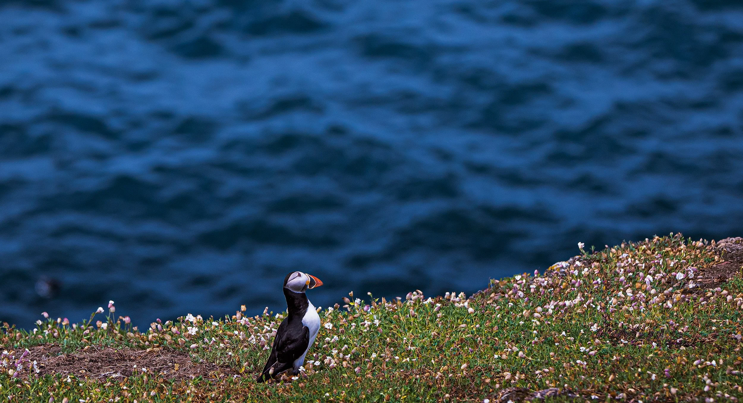 untitled (20 of 1928)-Edit-Edit-3frame.jpg