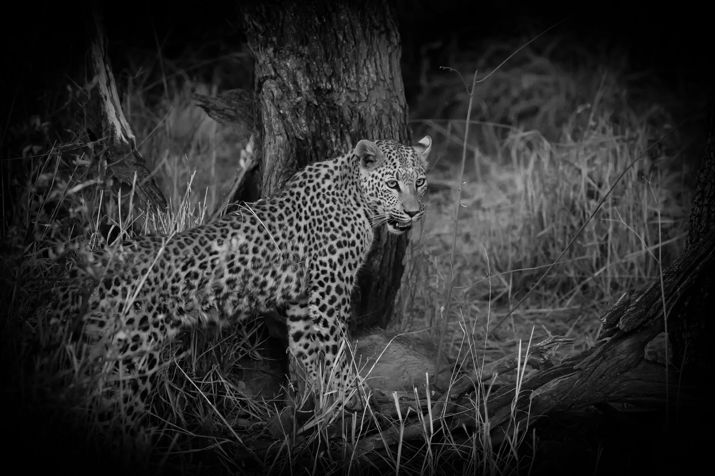 Namibia 20 (508 of 786)-Edit-Edit-Edit.jpg